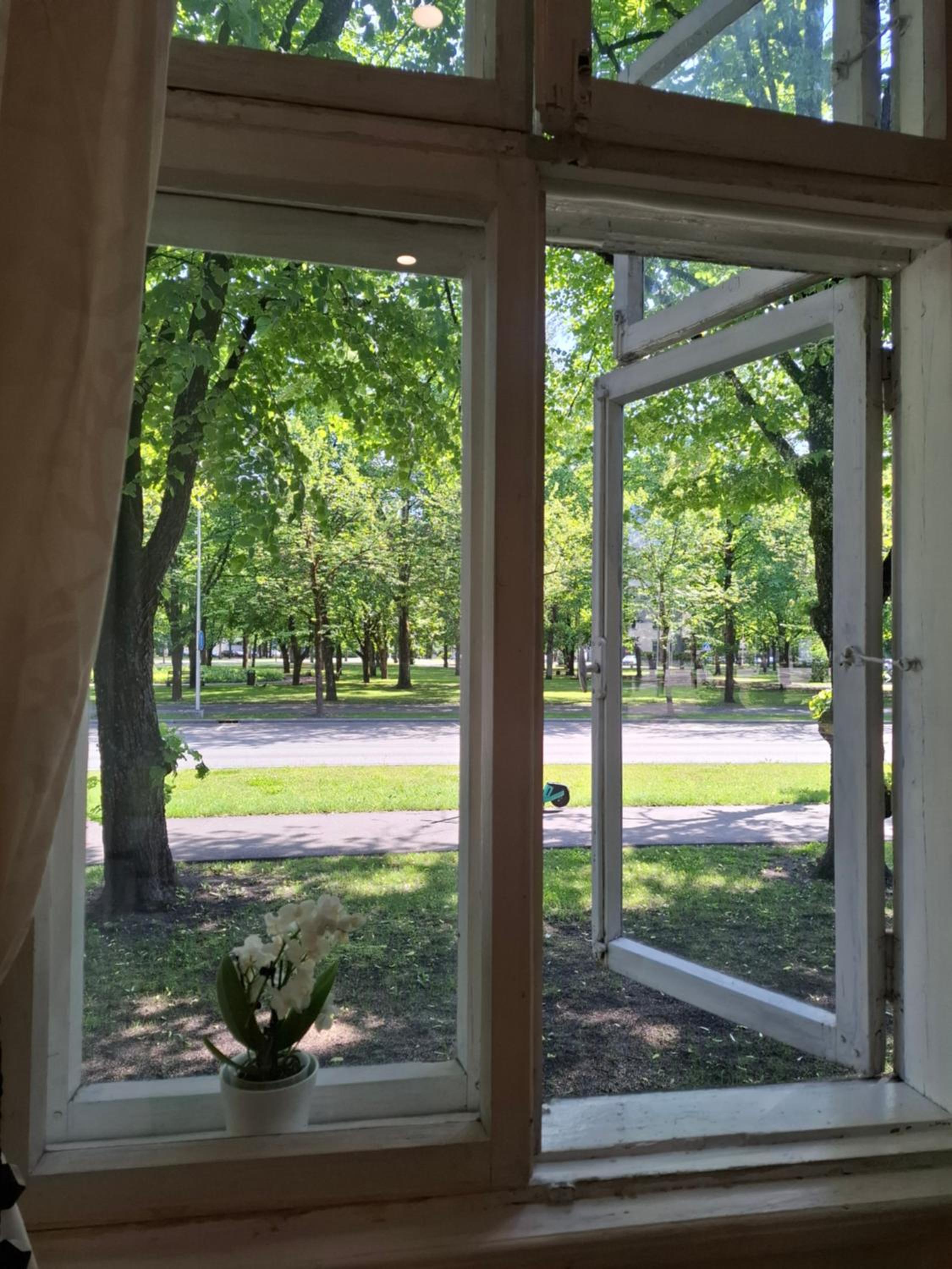 Pärnu Pikk 24 apartment - Pärnu kesklinn - City center