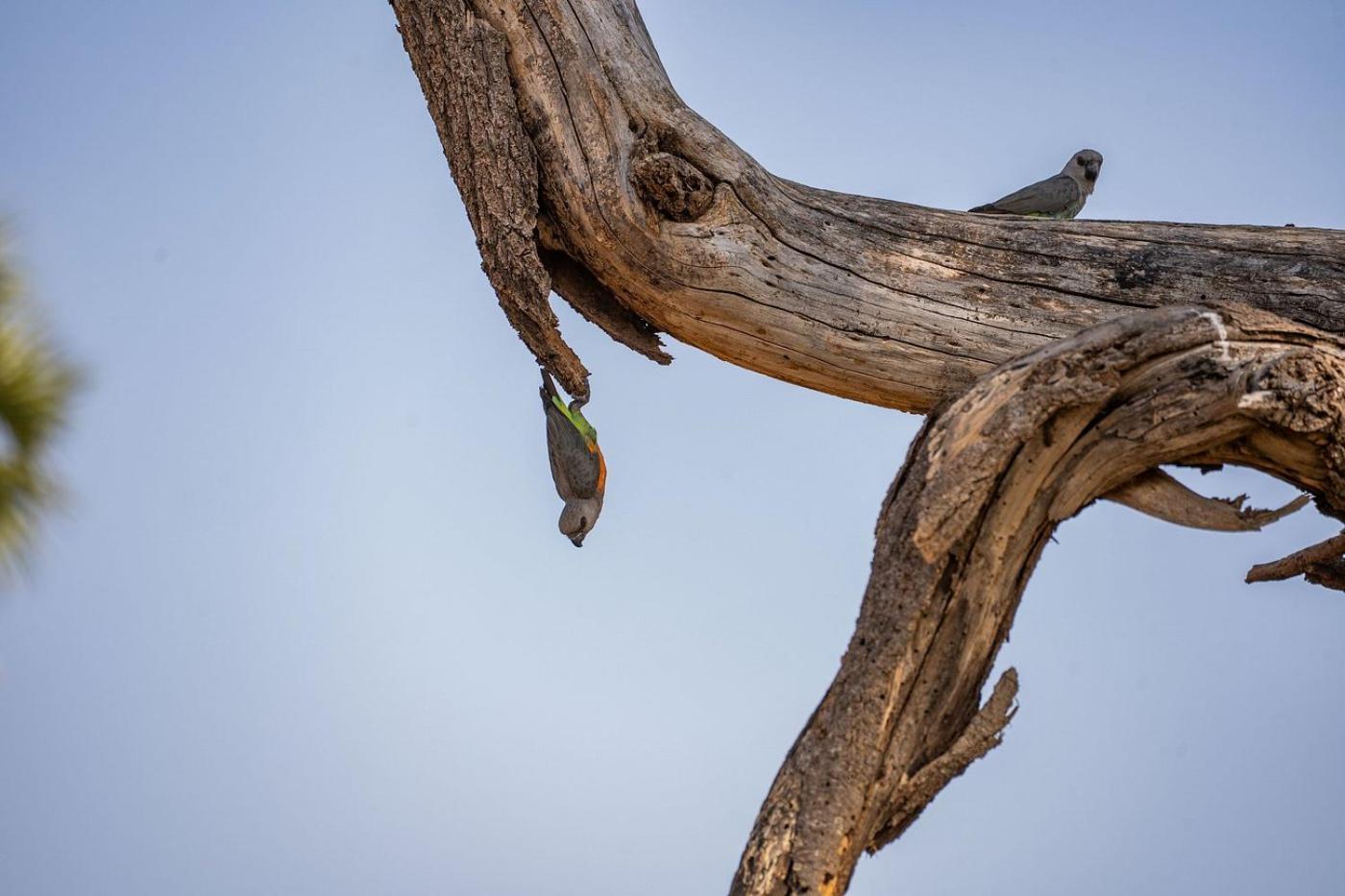 Basecamp Samburu