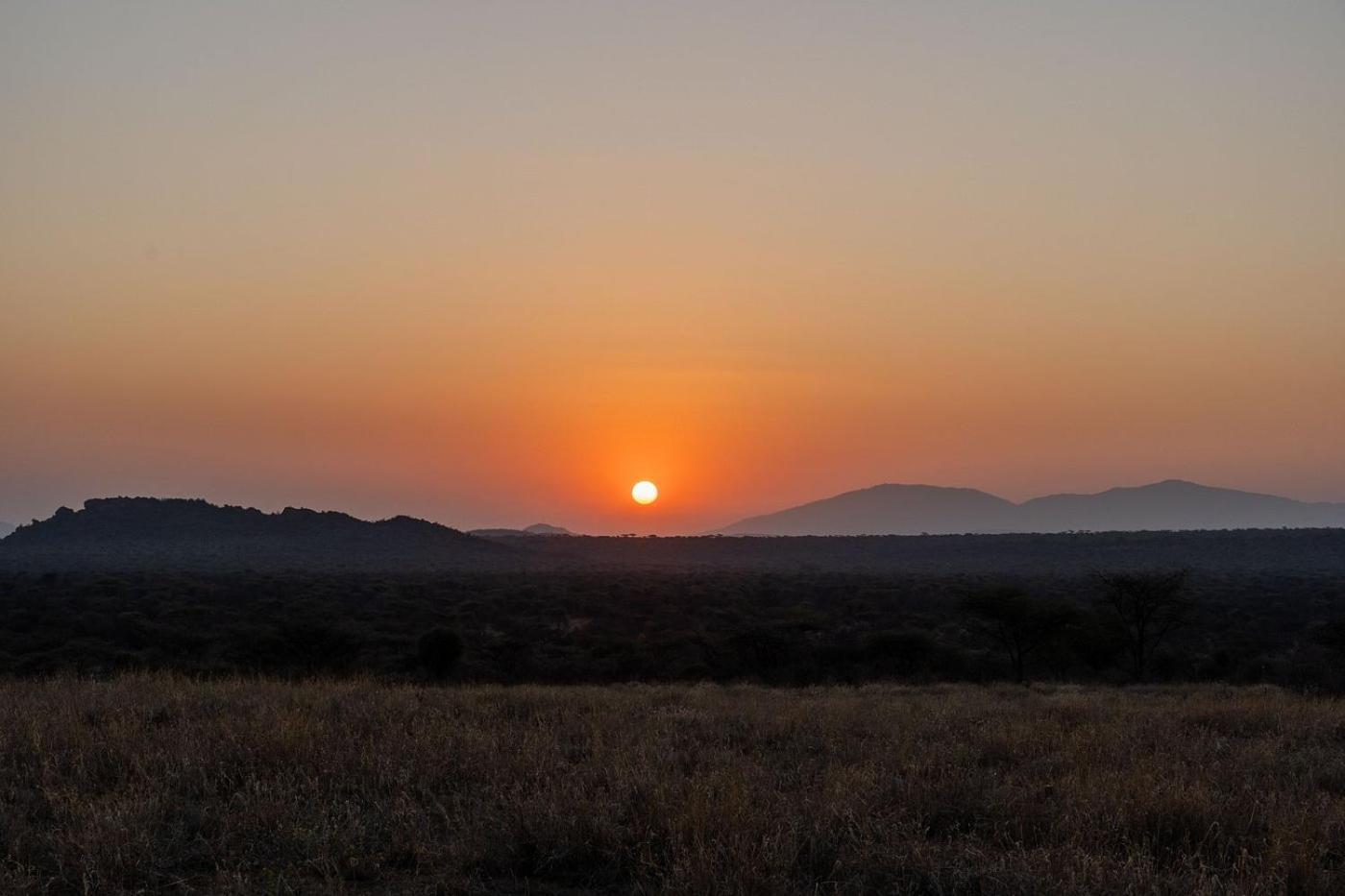 Basecamp Samburu