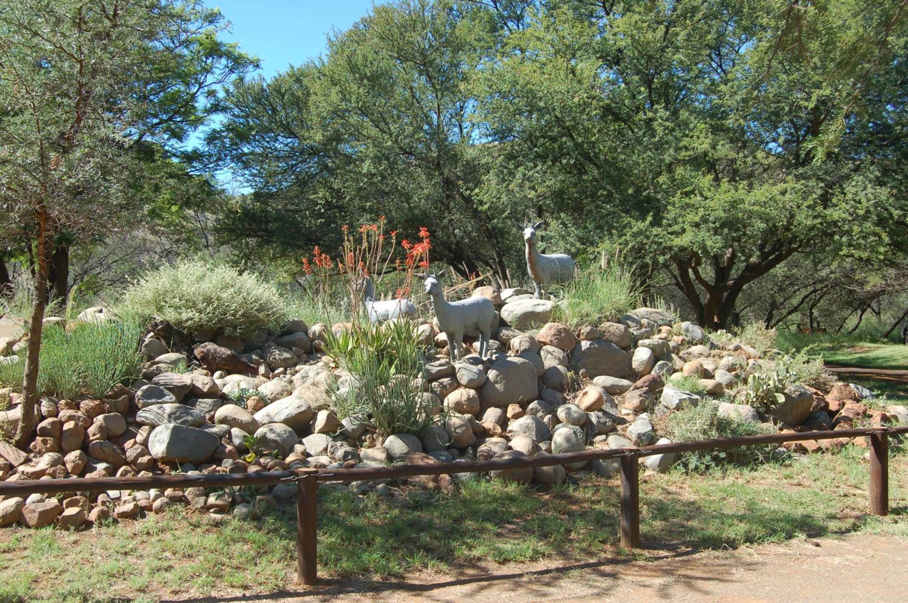 Photo 31