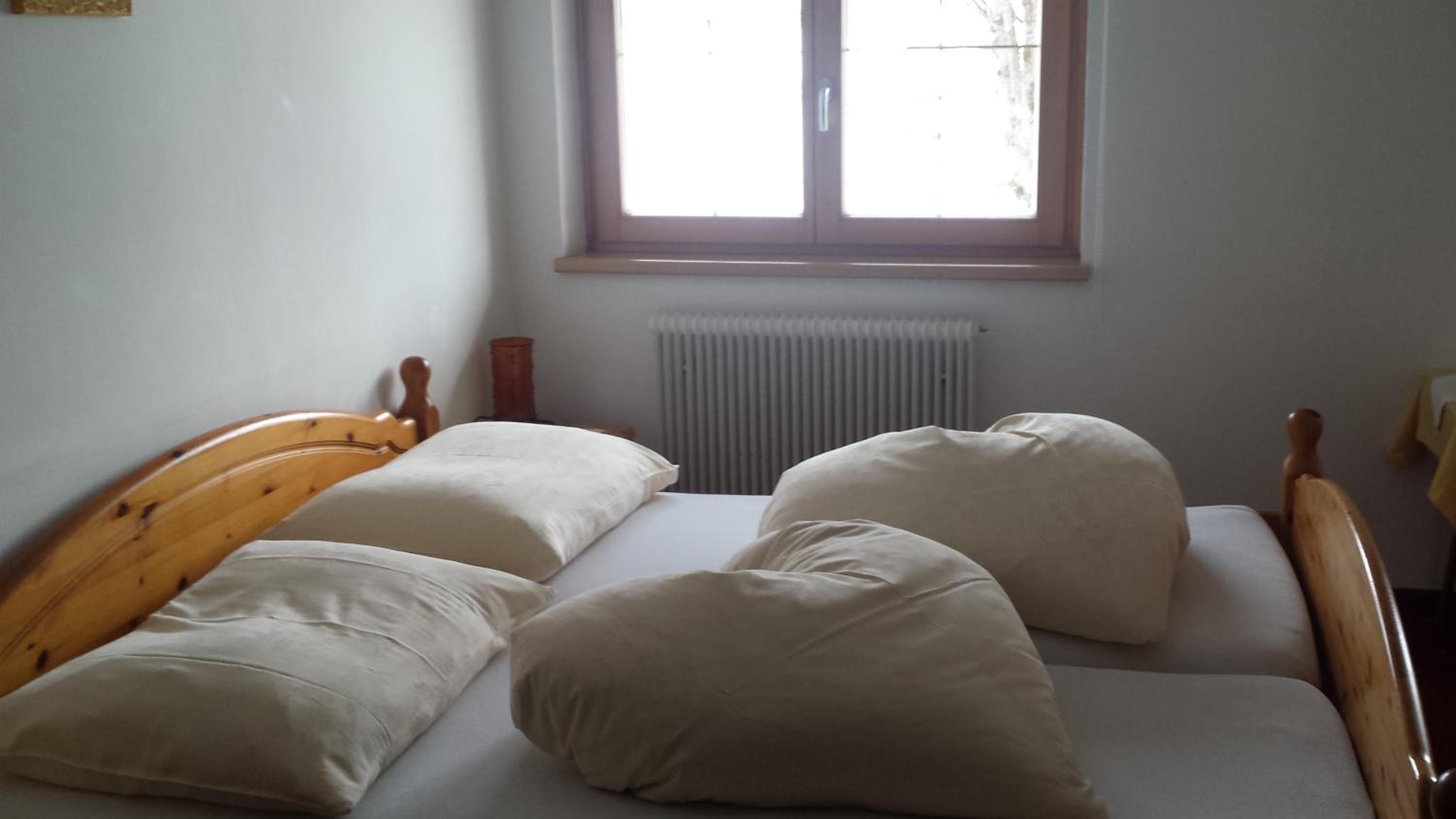 BIO-Bauernhof Hatzbauer