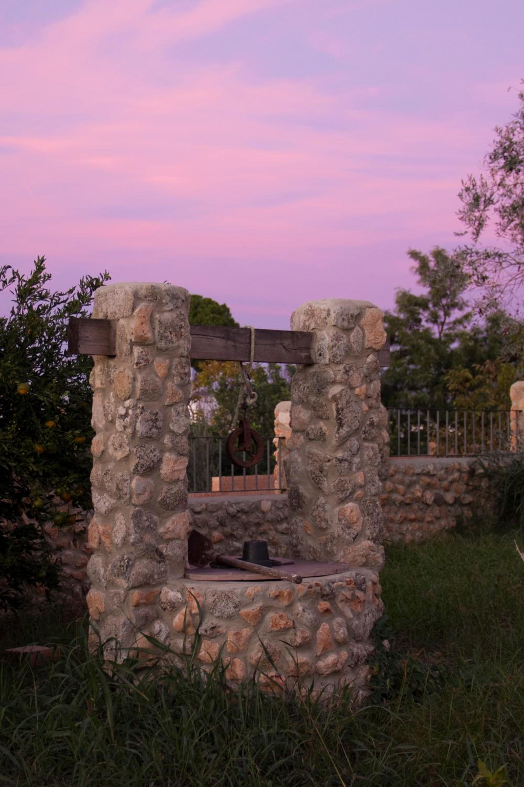 Photo 44