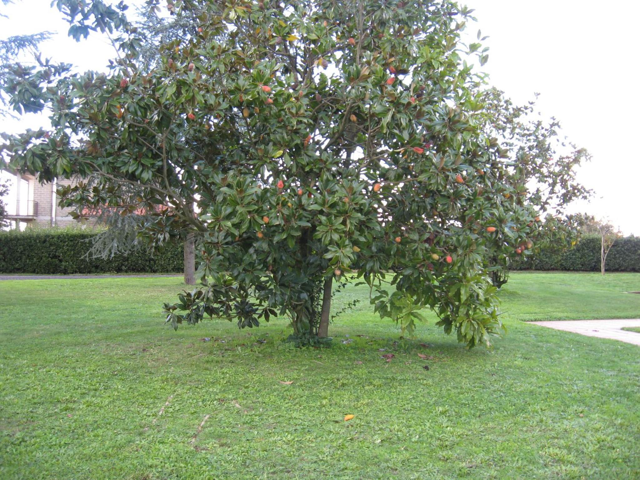 Photo 23