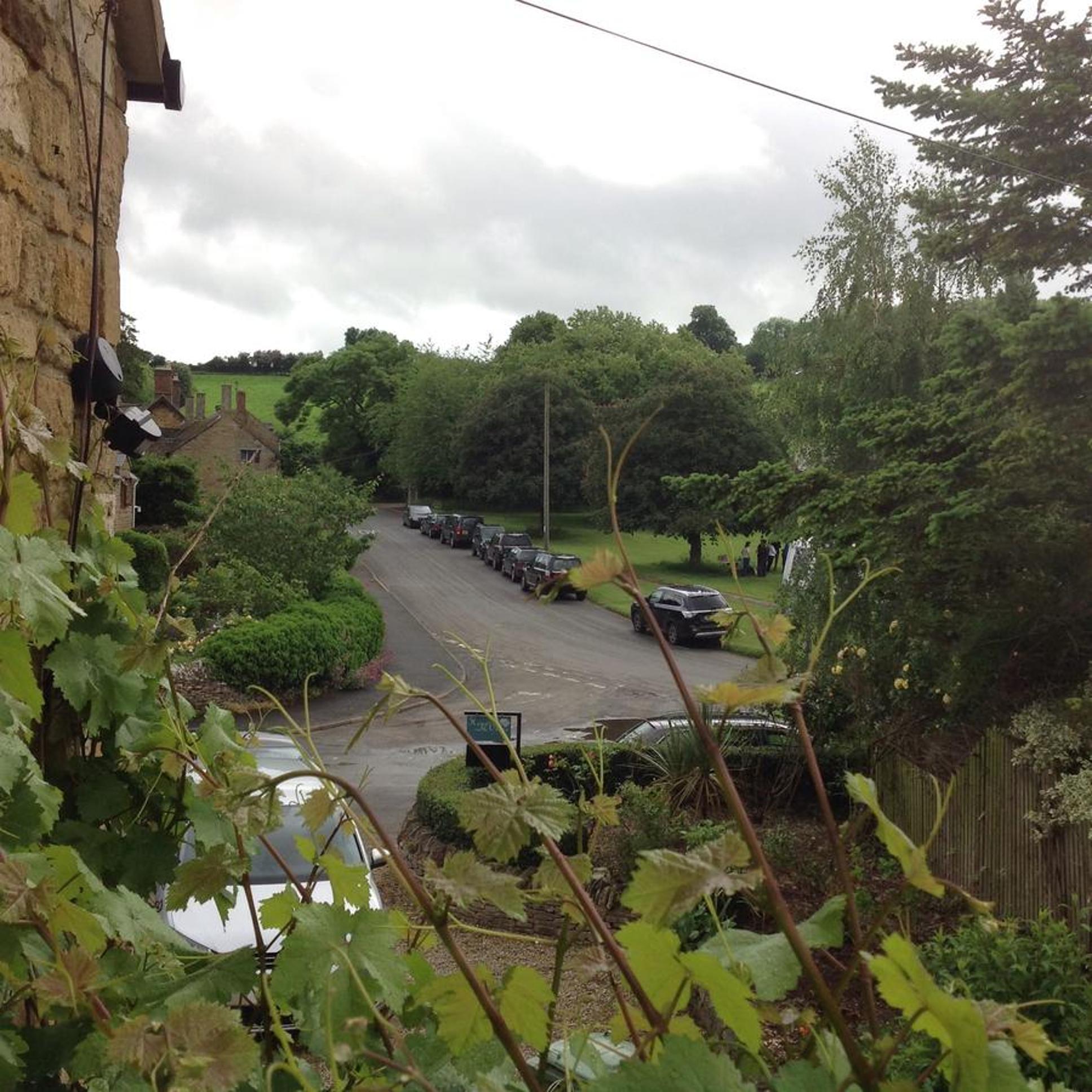 Hops and the Vines view 5