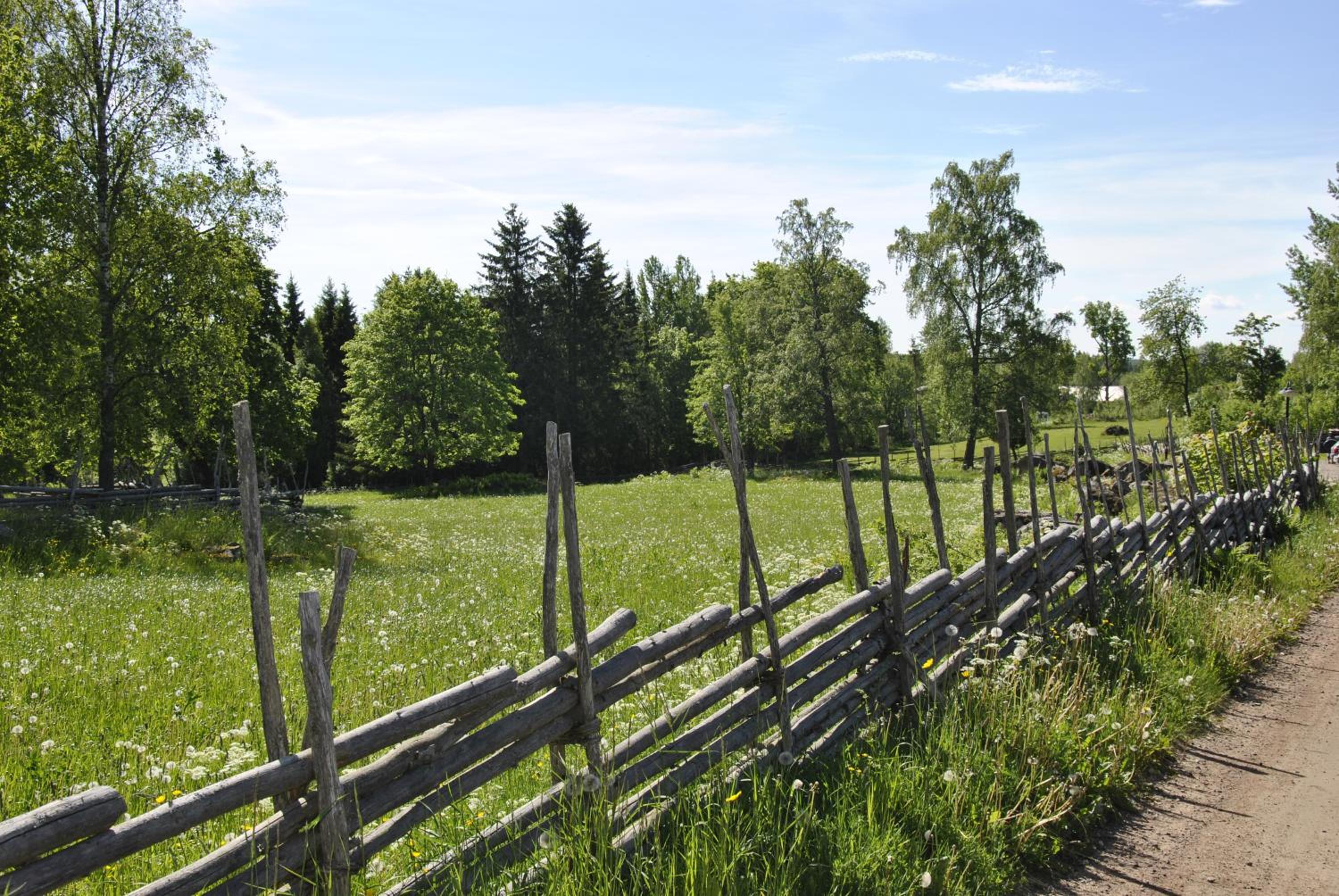 Photo 46