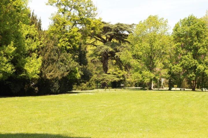 Chateau Castelrives