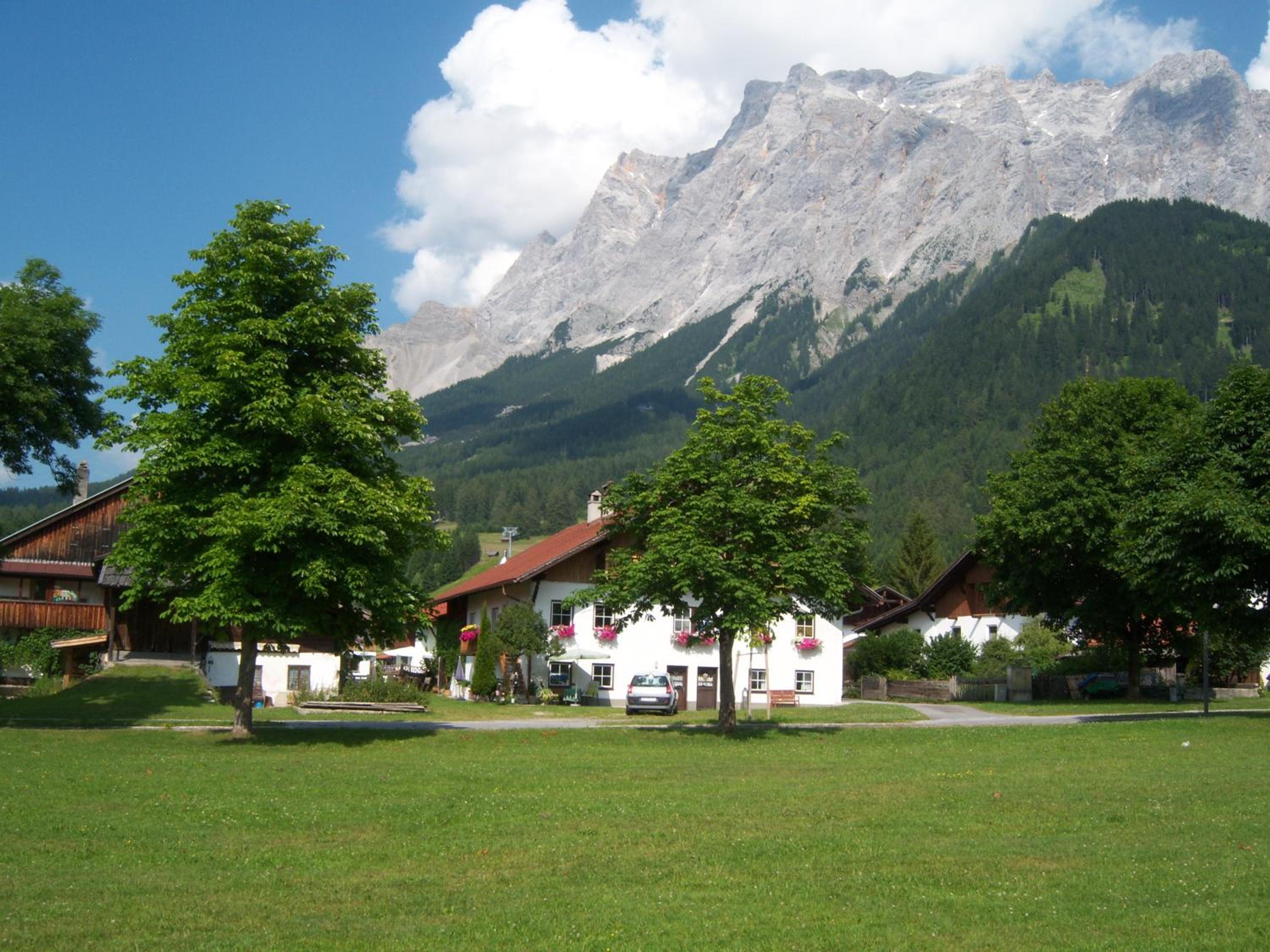 Photo 11