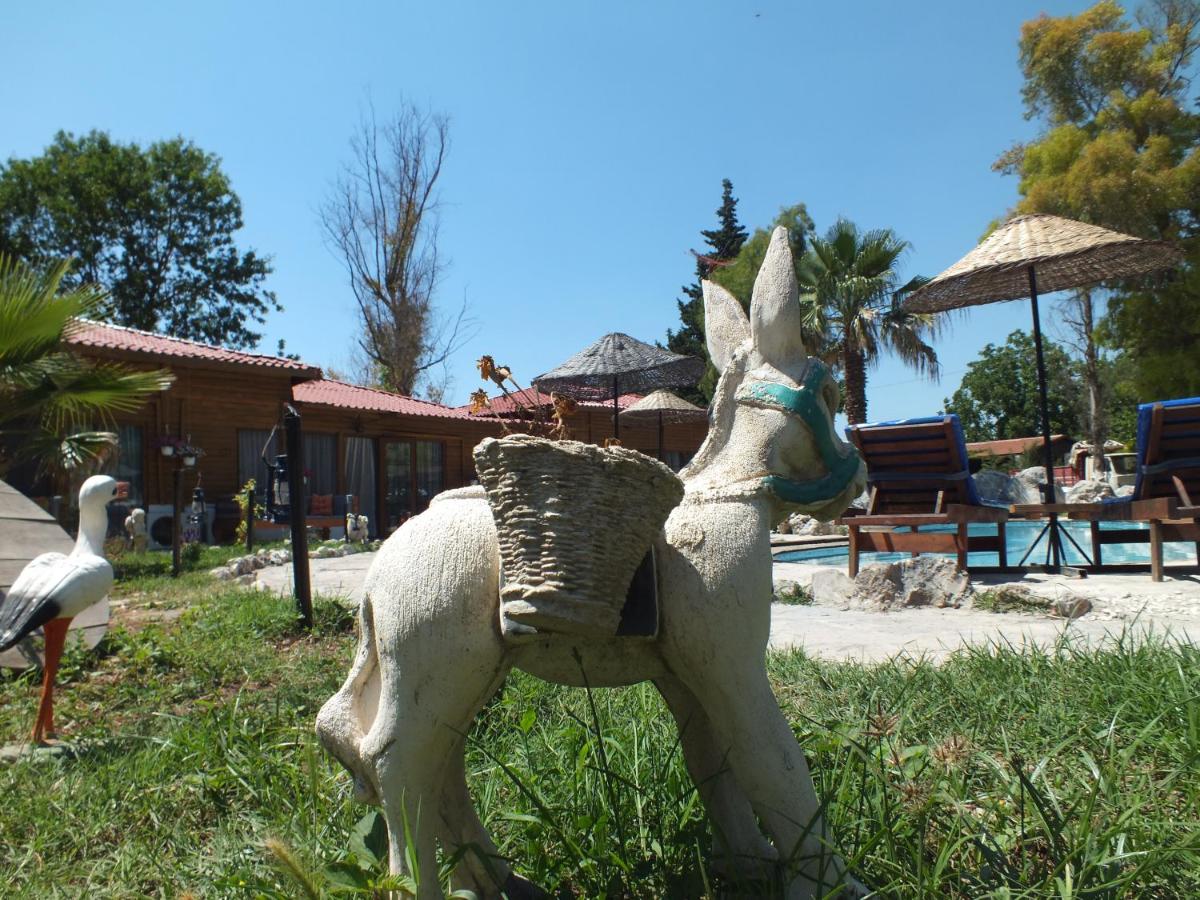children's play area