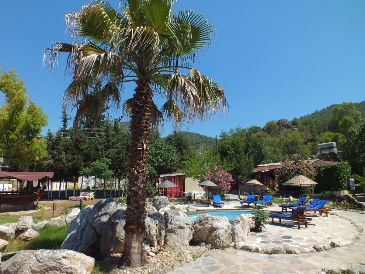 children's play area