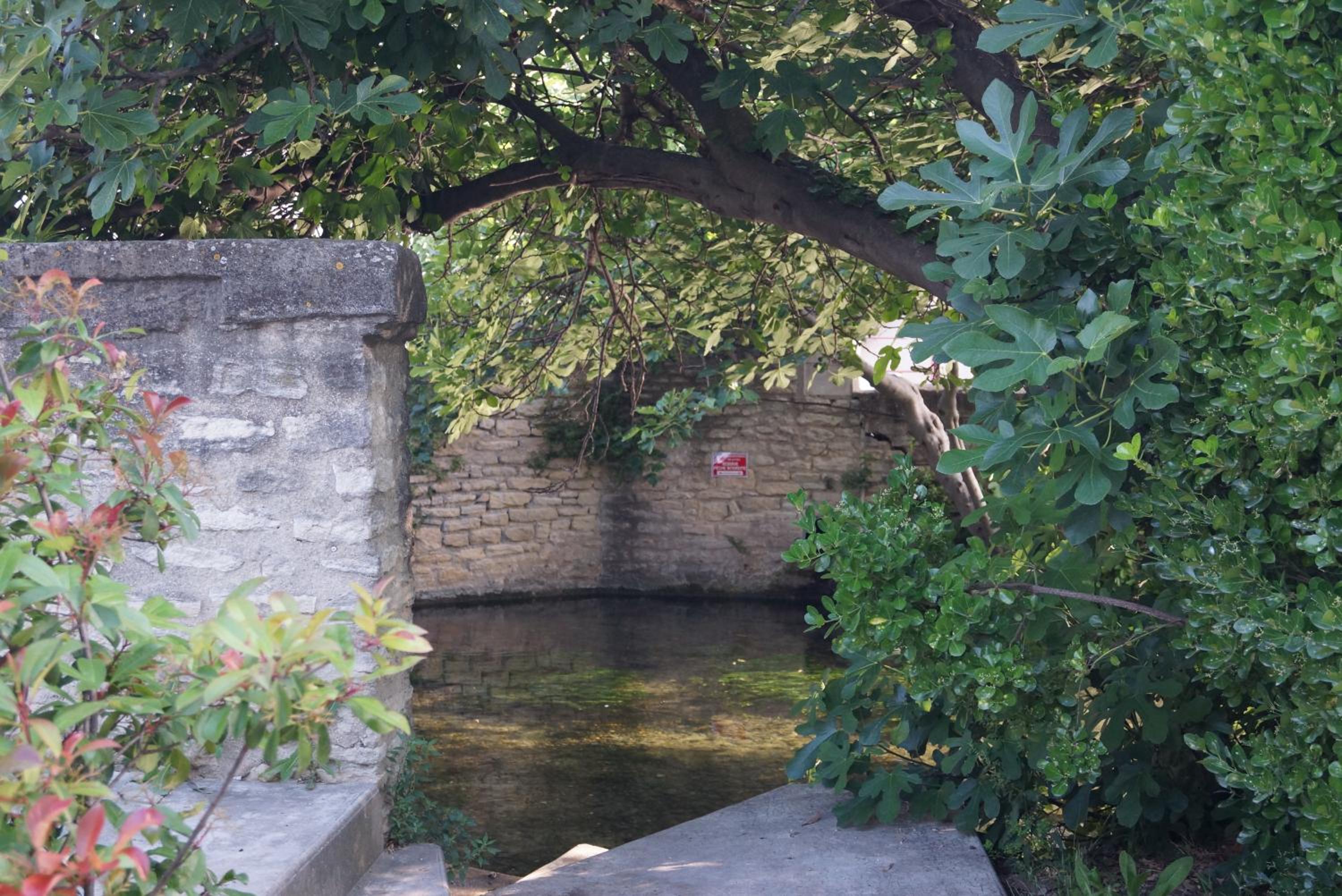 Colombe, photo 10