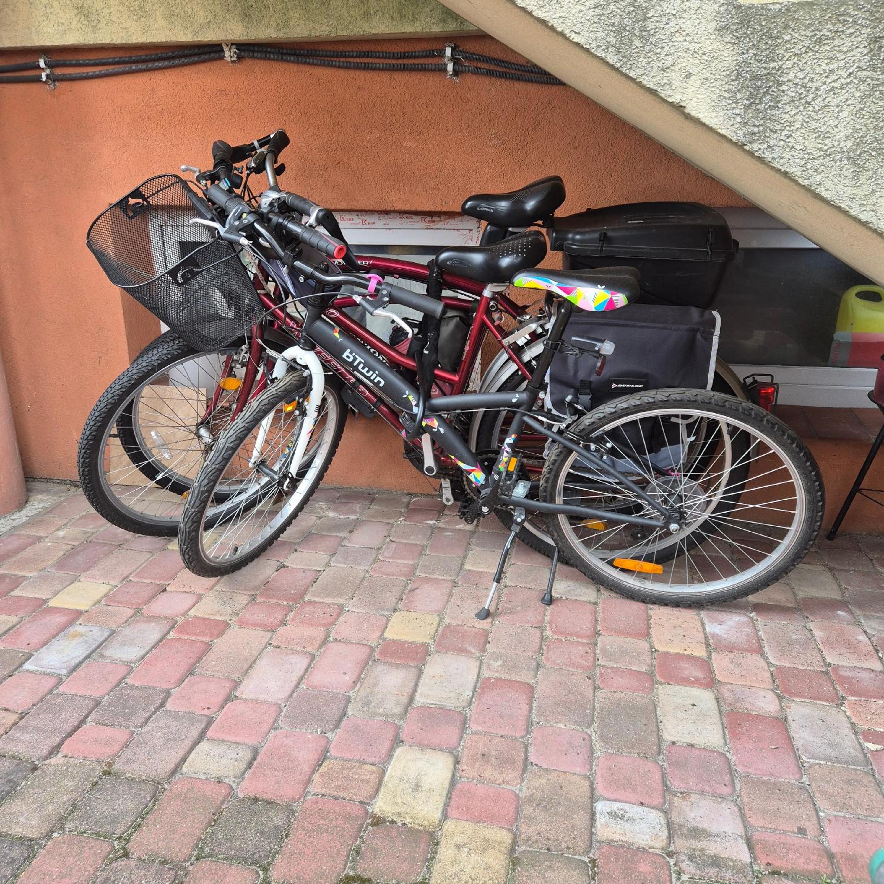 Photo 6