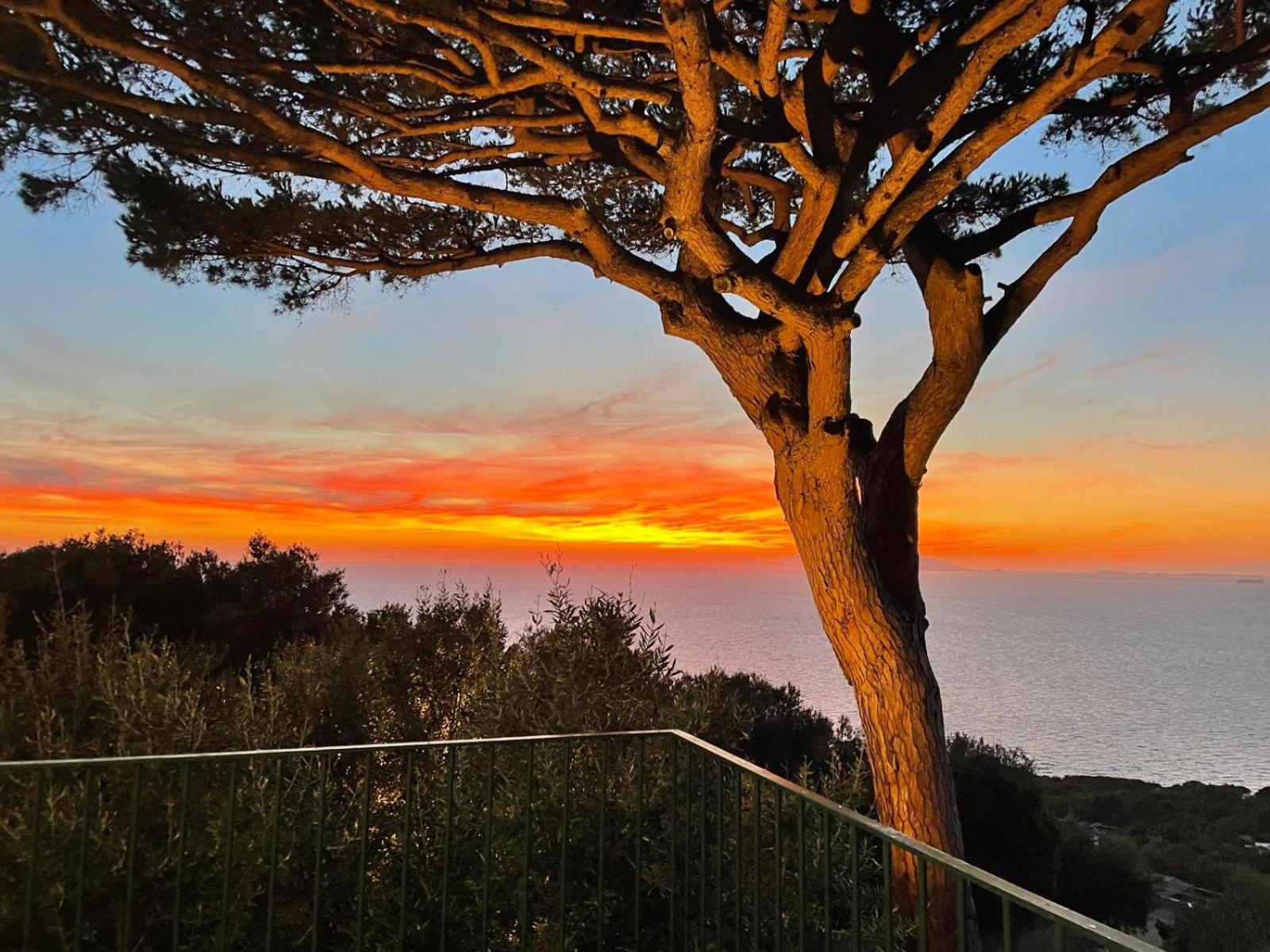 Tra Cielo e Mare - fantastic sea view