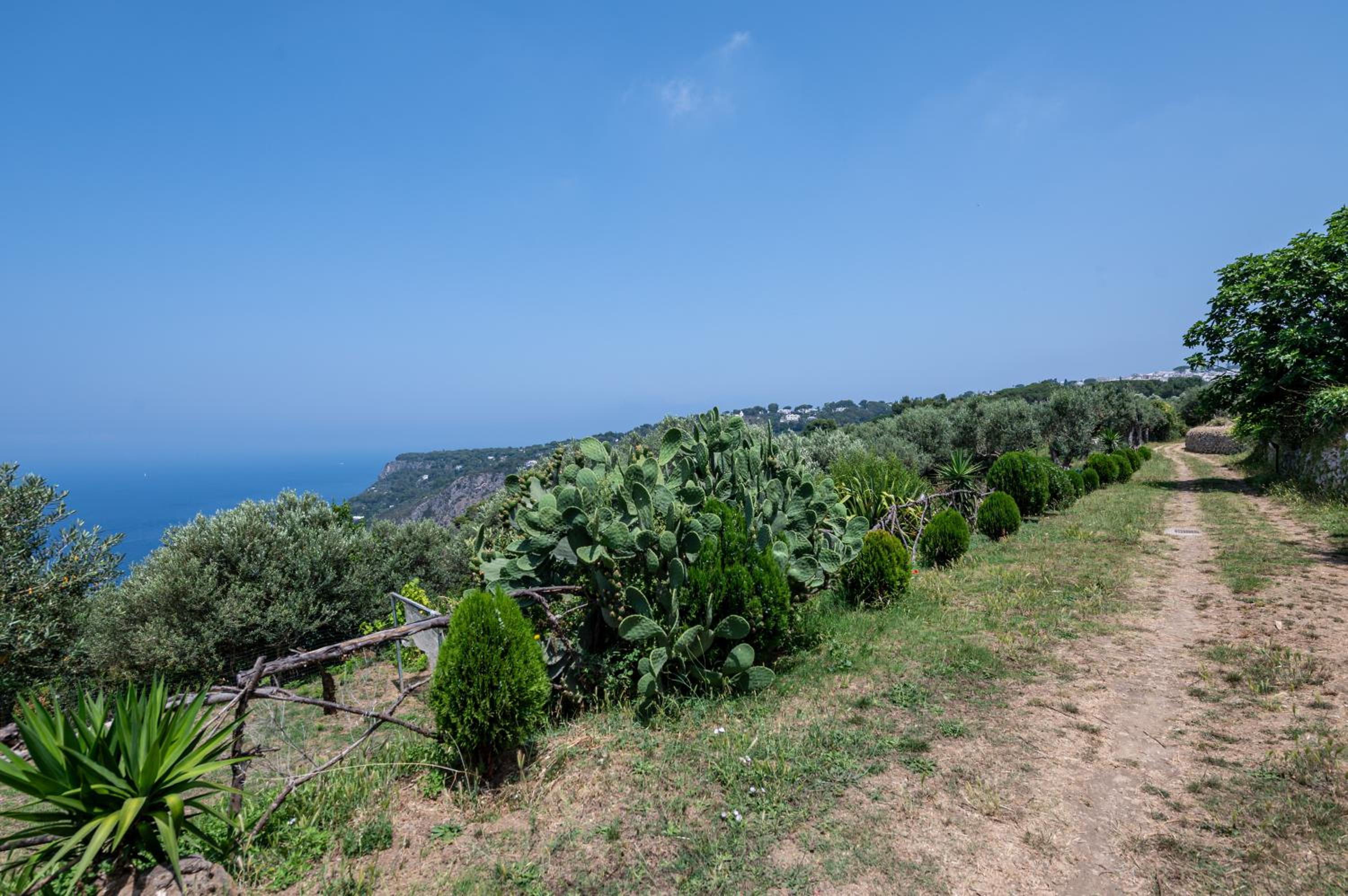 Tra Cielo e Mare - fantastic sea view
