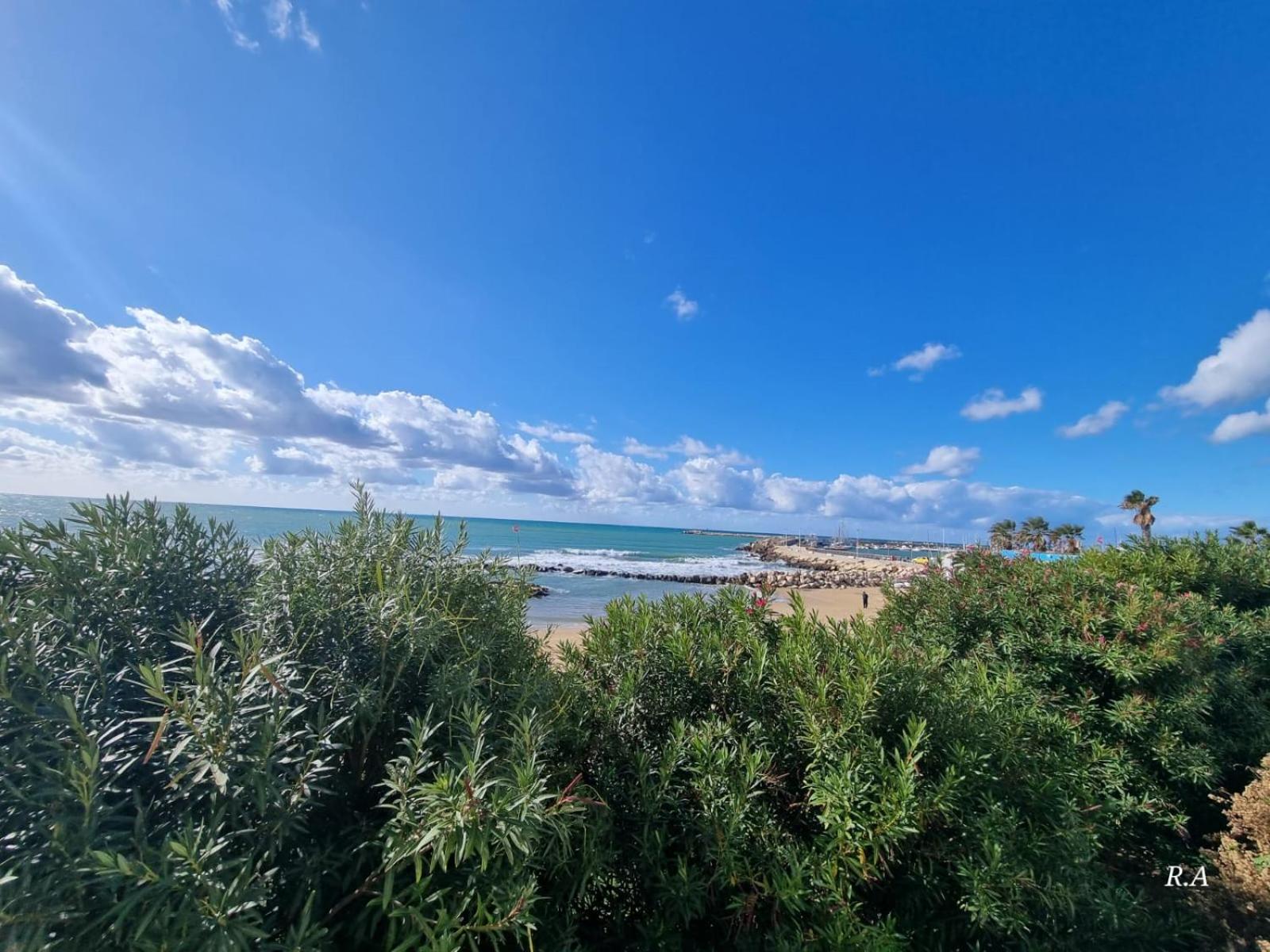 Vacanze da Beppuccio Scoglitti