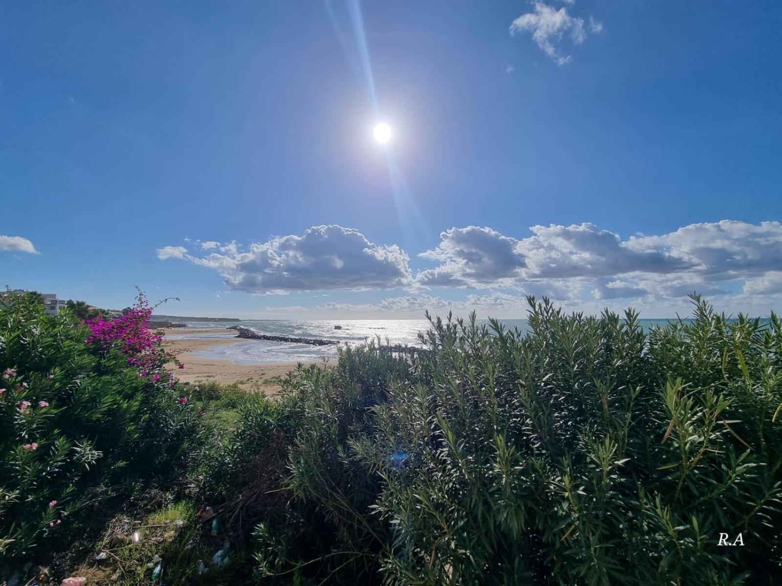 Vacanze da Beppuccio Scoglitti