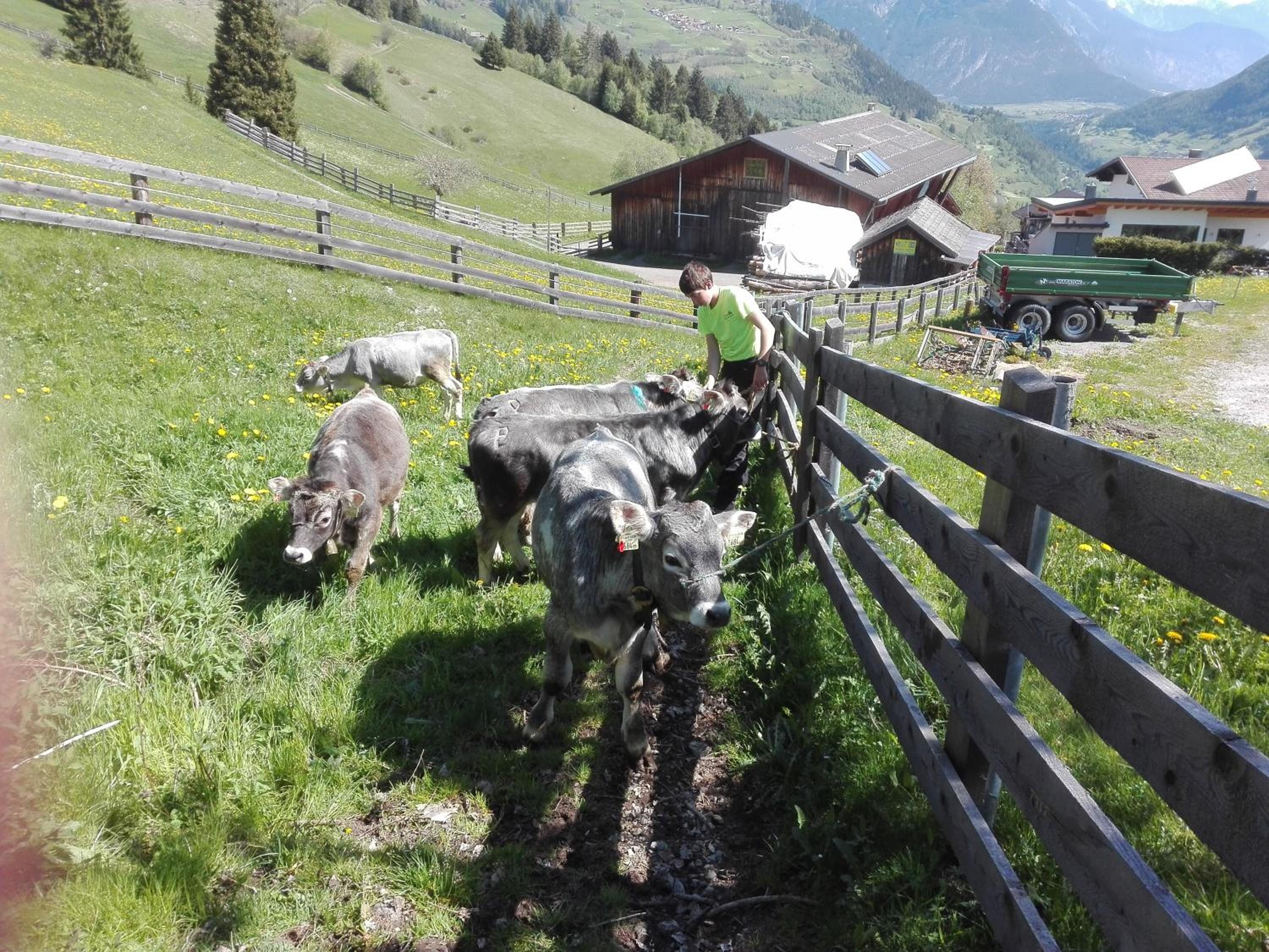 Ferienwohnung Berghof Pixner