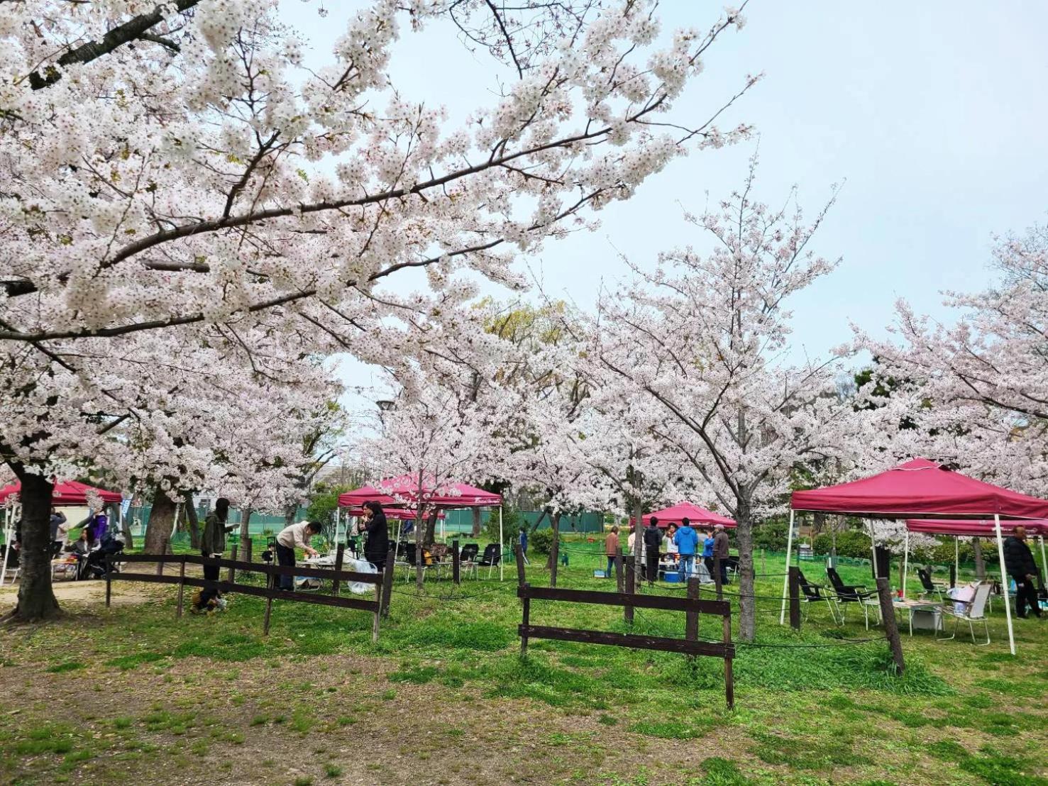 Sumiyoshi Kaze Home