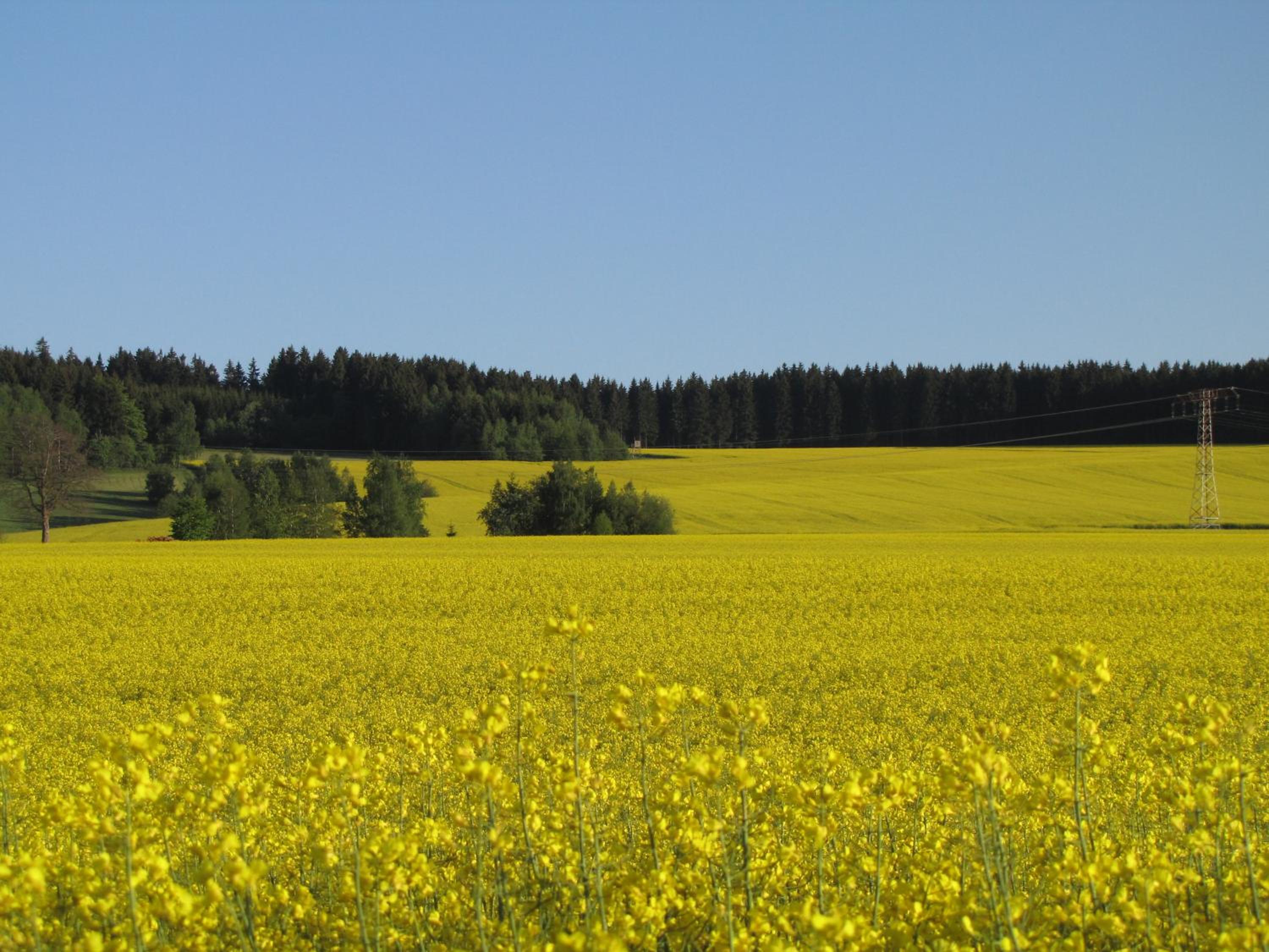 Stollenklause view 4