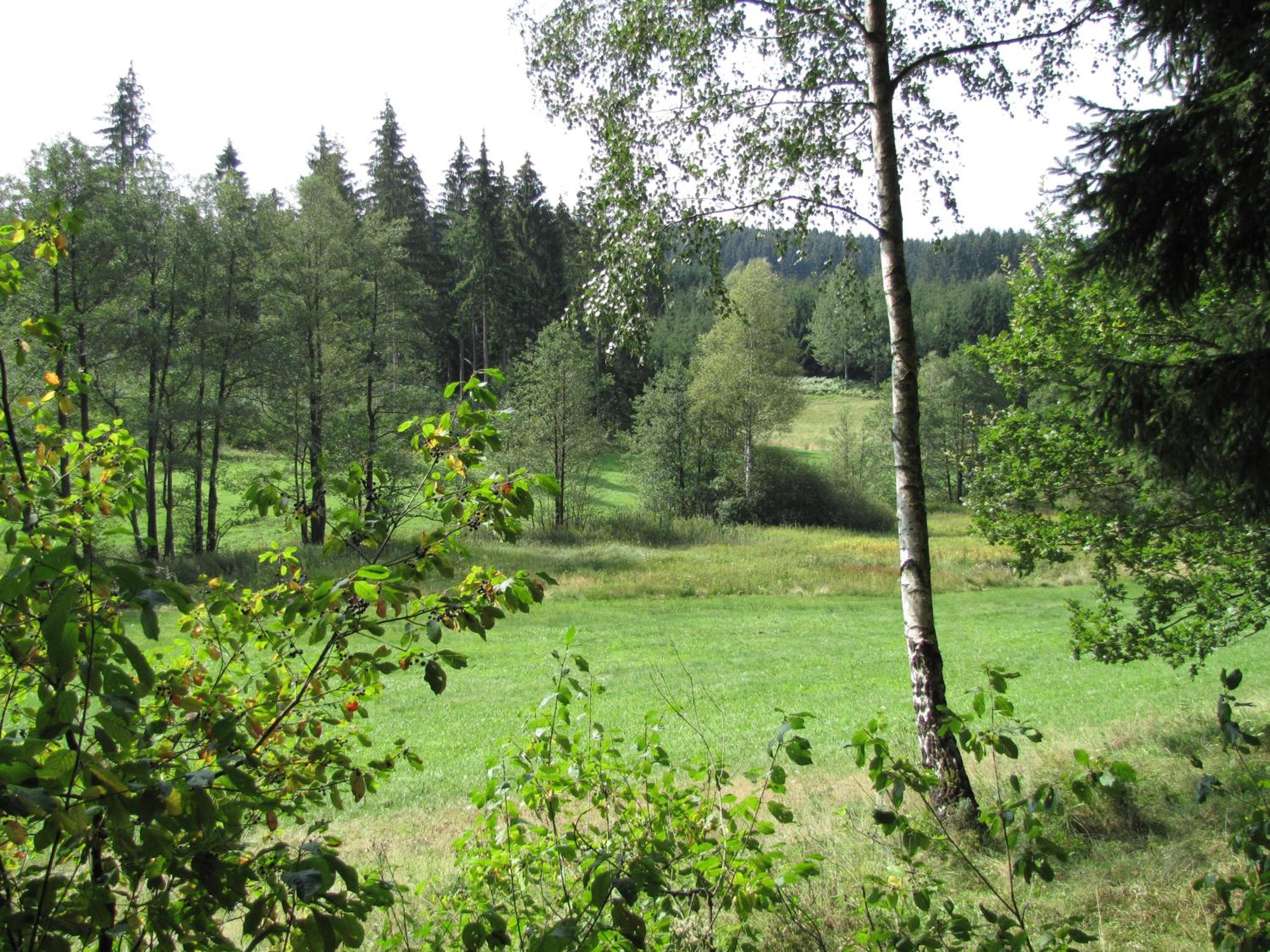 Photo 37