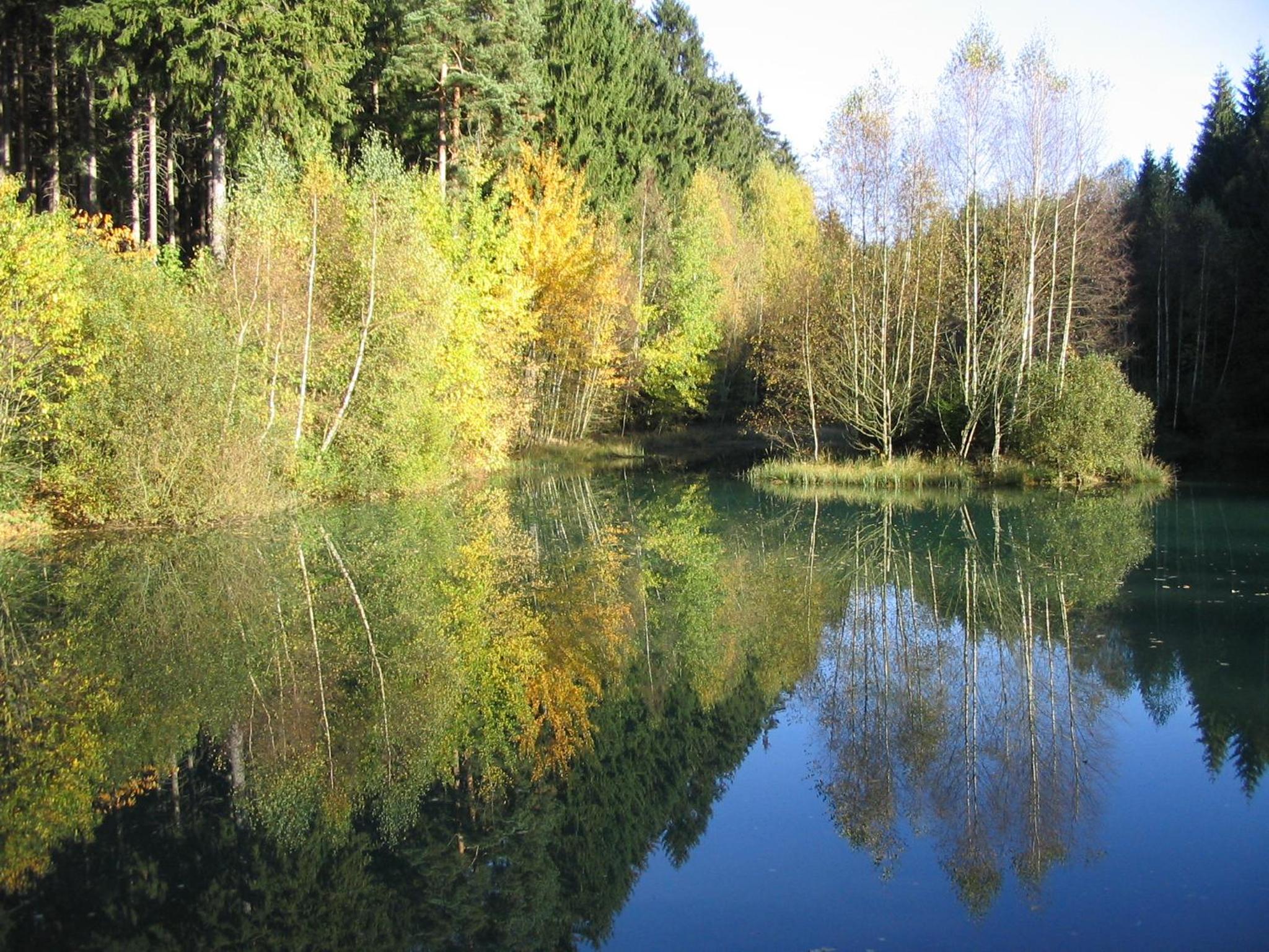 Photo 41