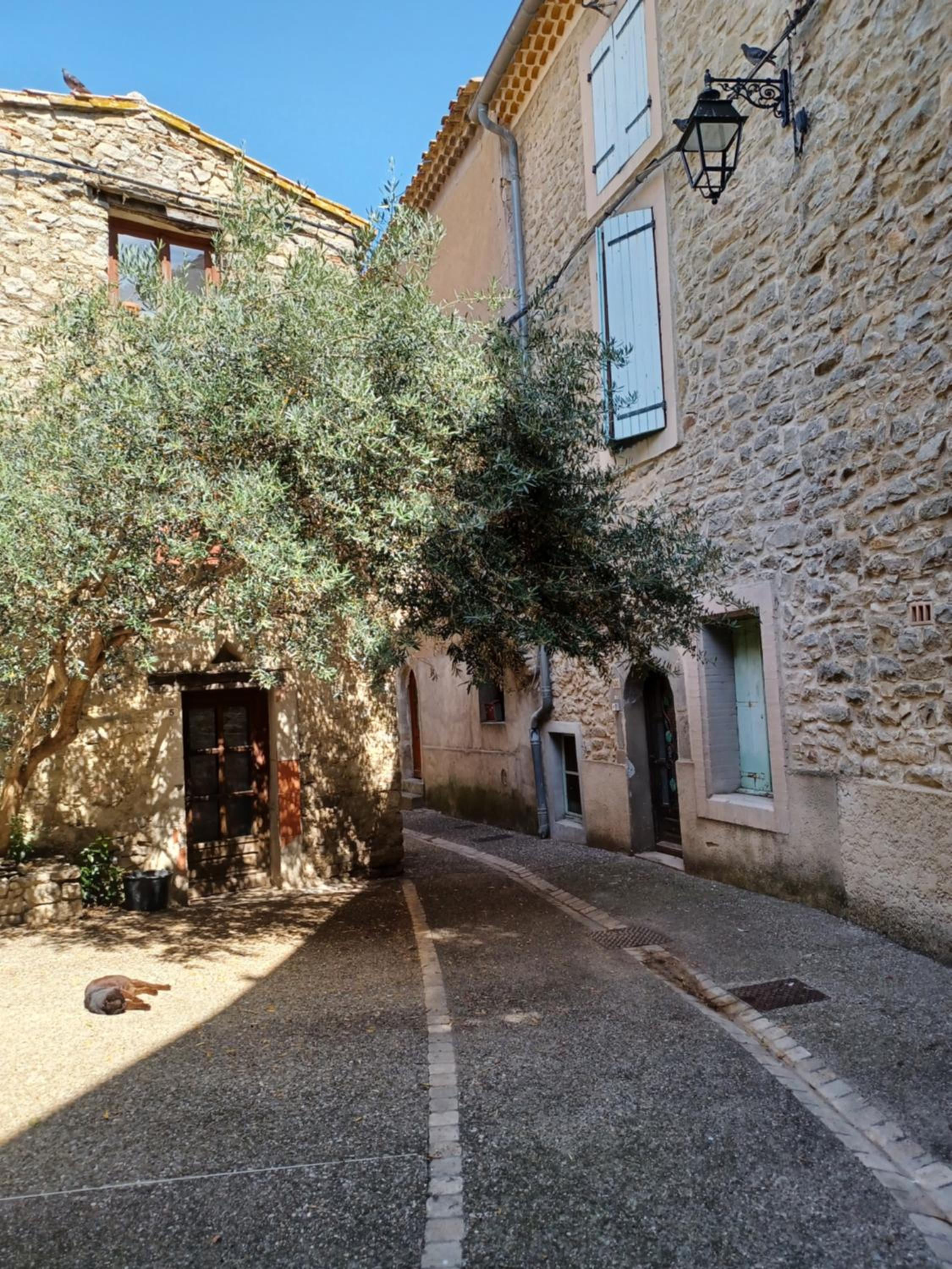 Le gîte des moineaux