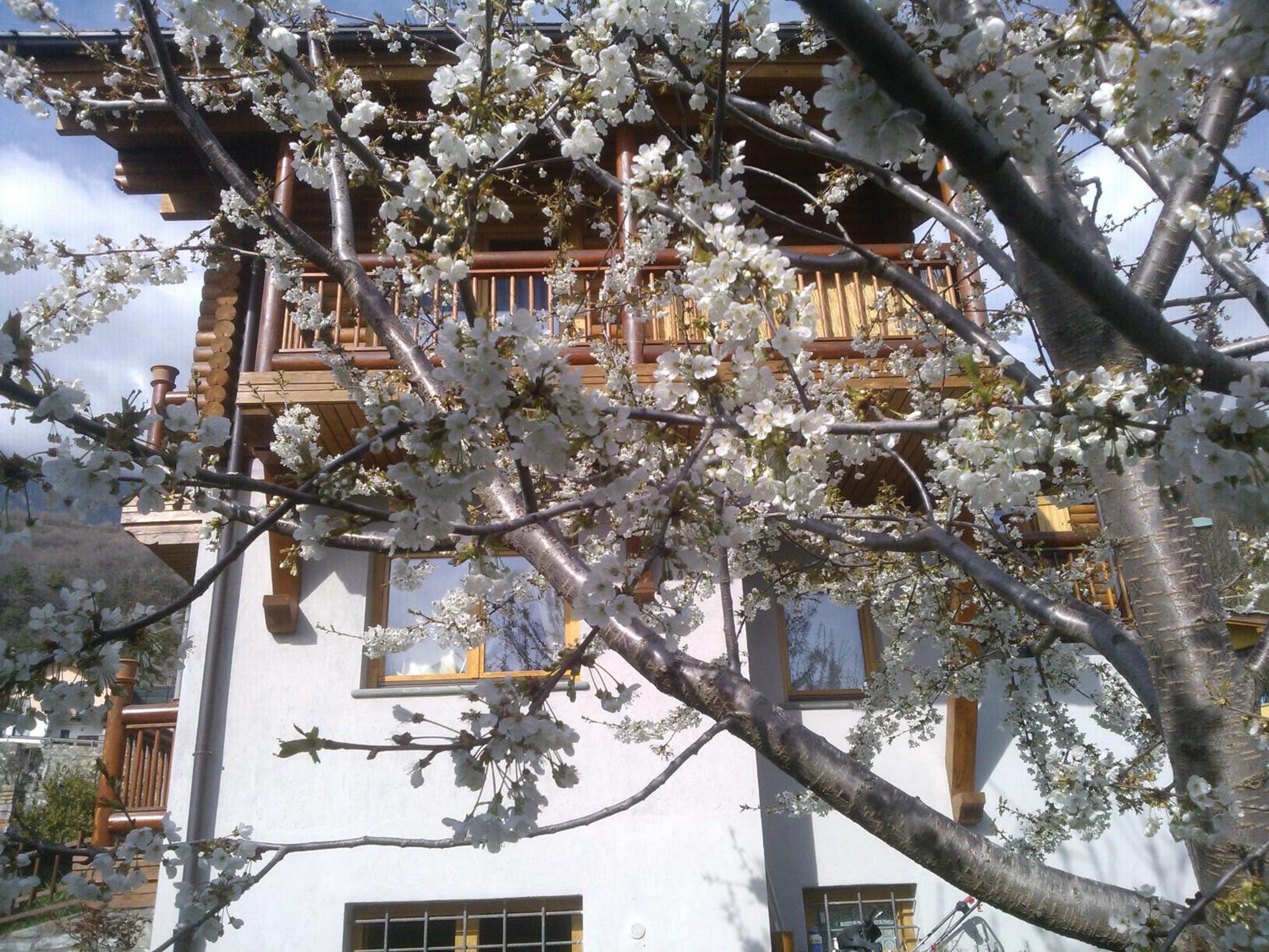 Casa Adriana view 4
