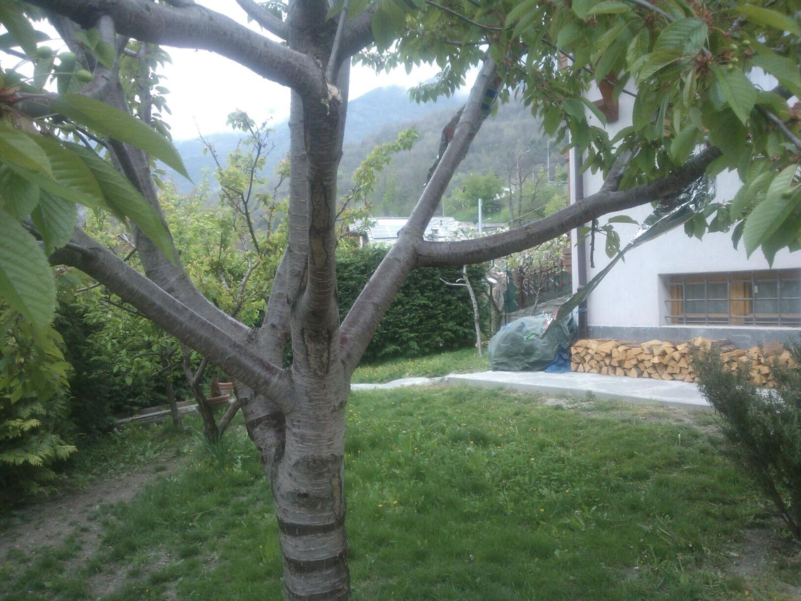 Casa Adriana view 5