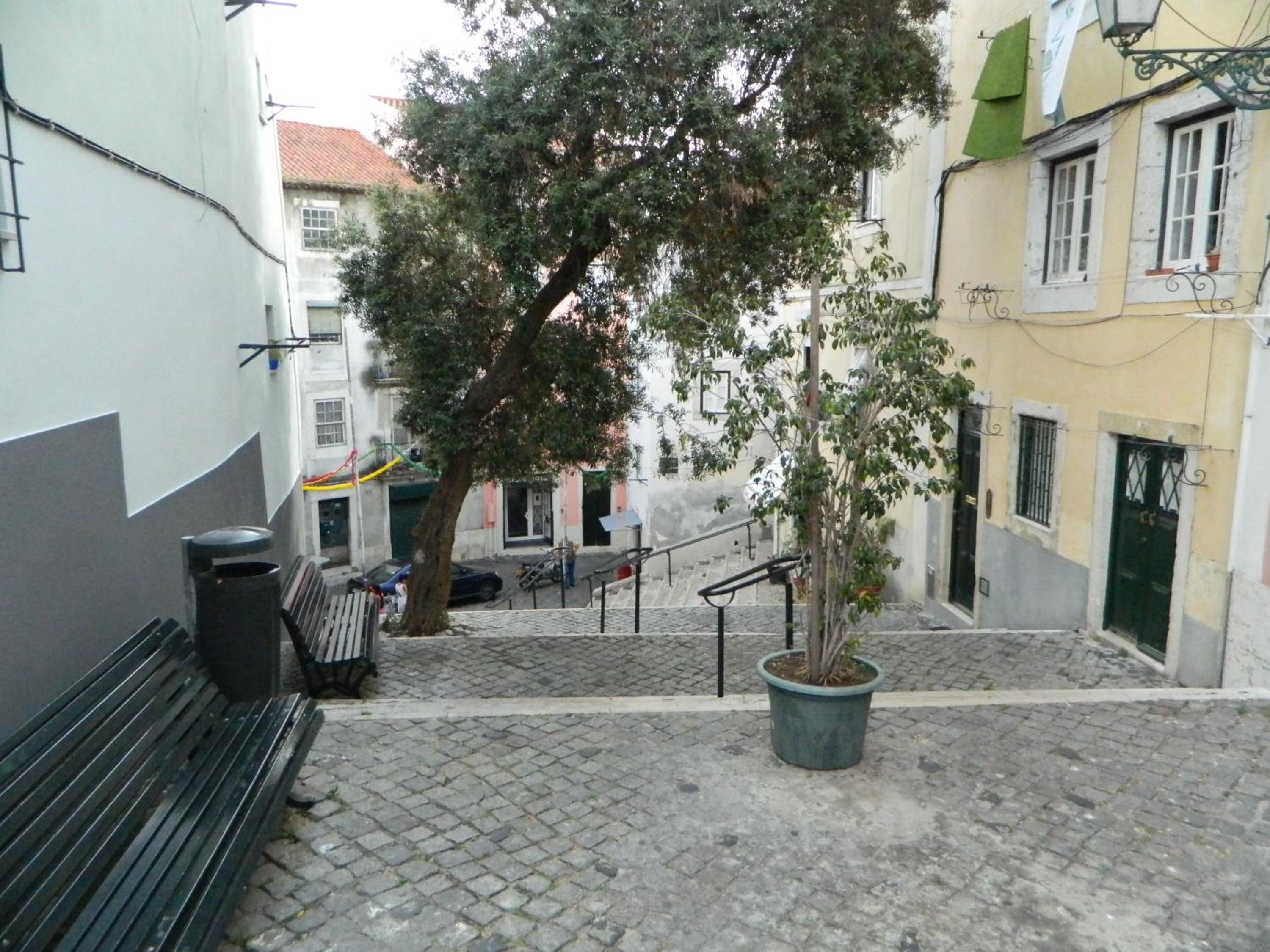 Photo 29