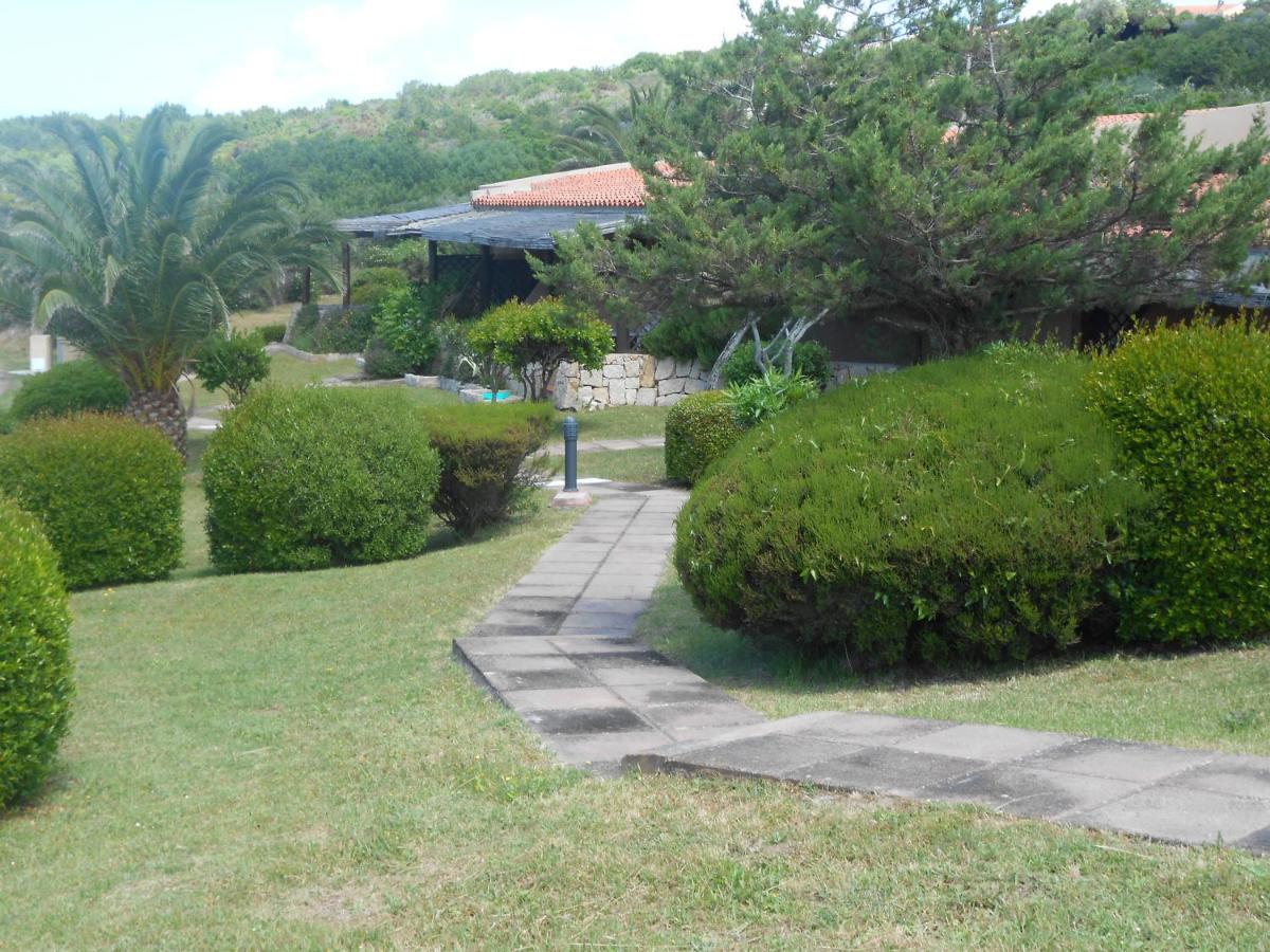Photo 45