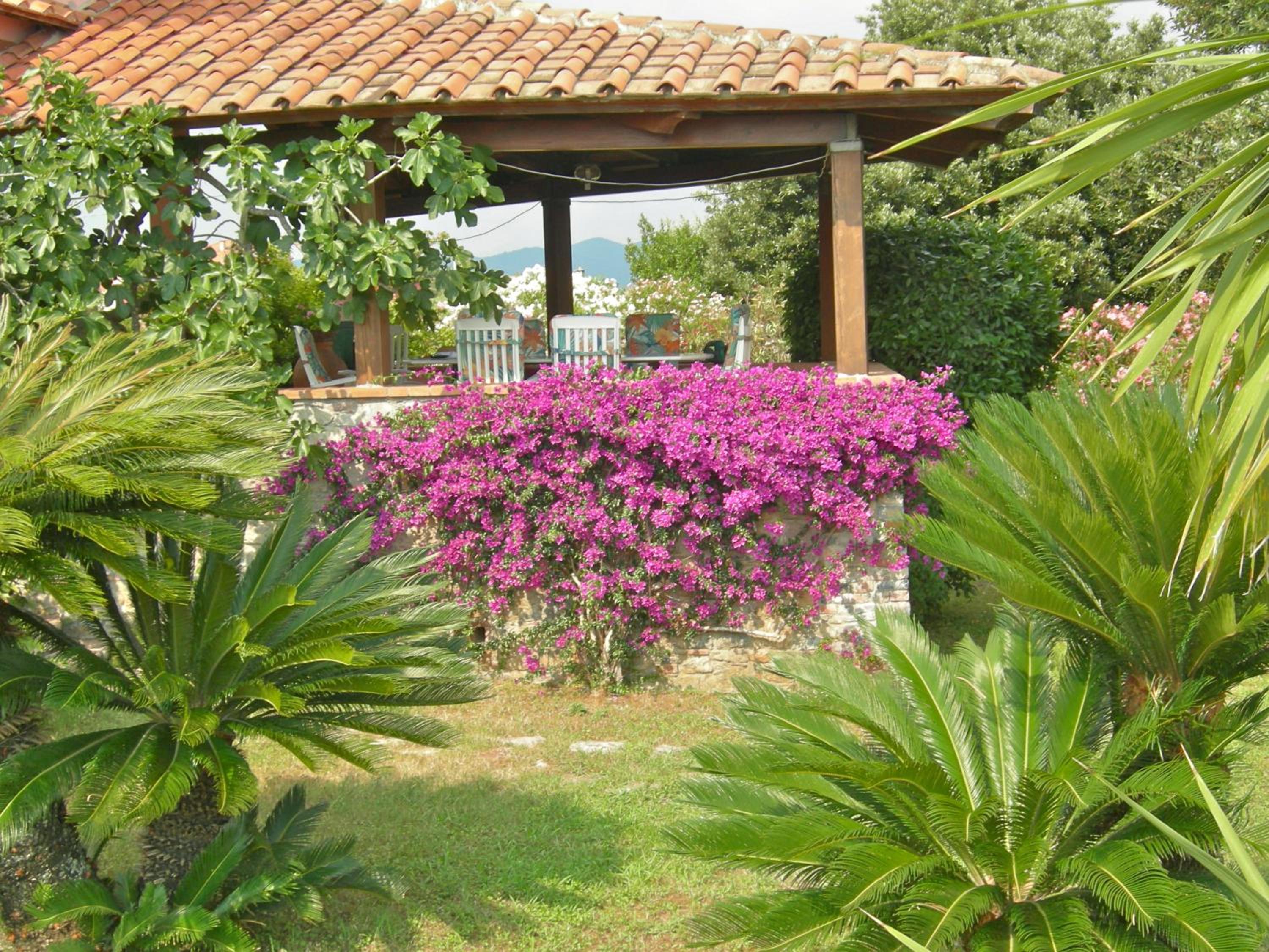 Photo 7