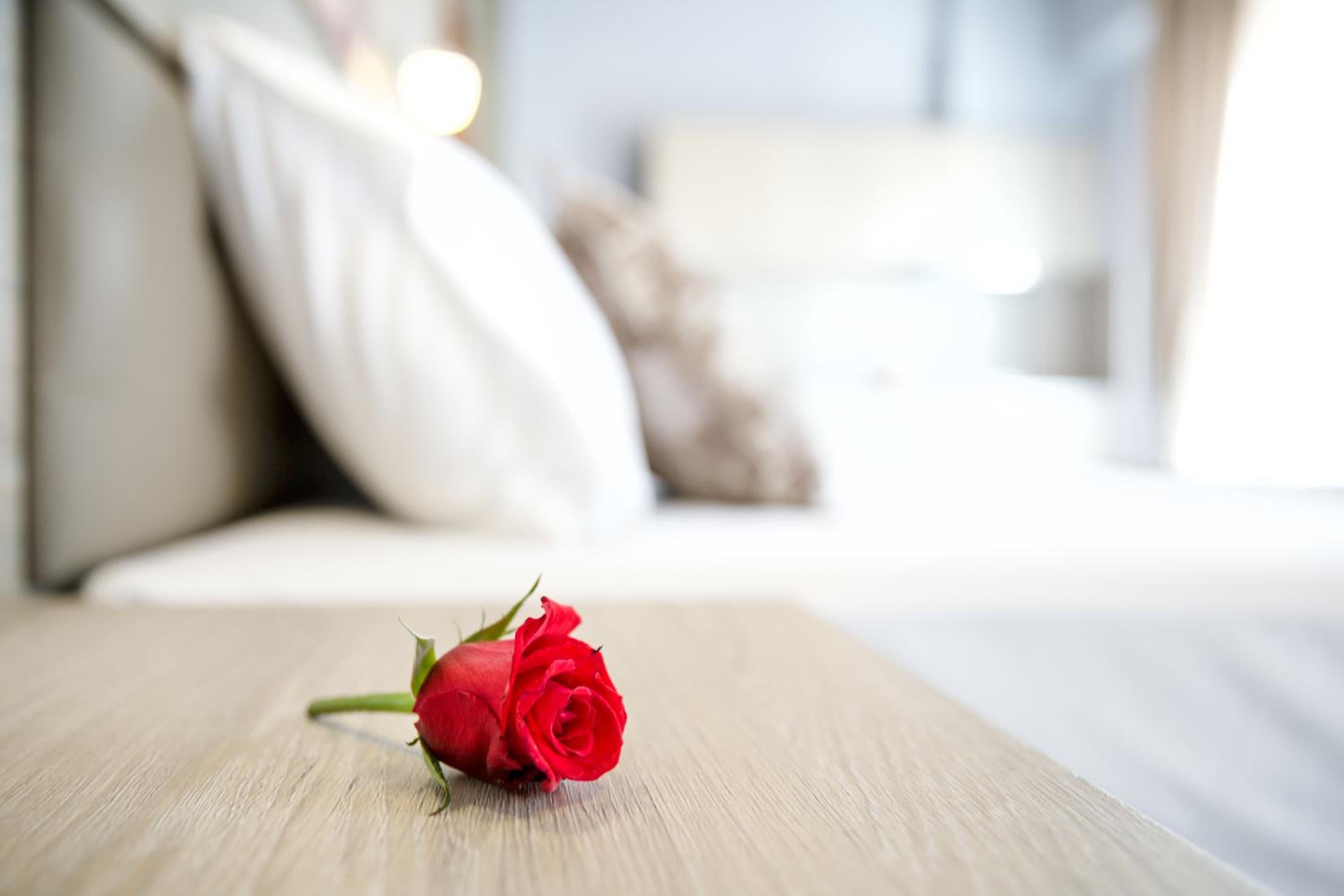 Troia Resort Luxury Studios - Property Image 2