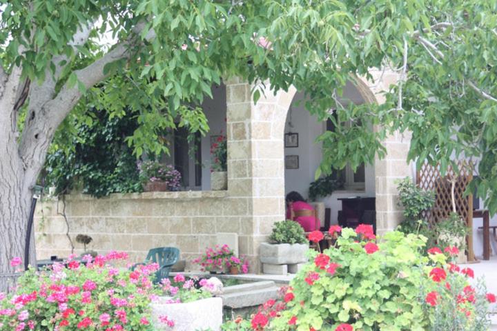 Photo 43