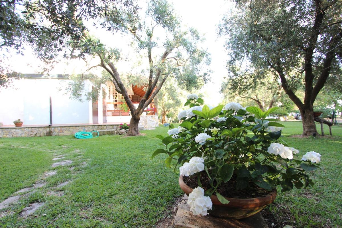 Photo 32