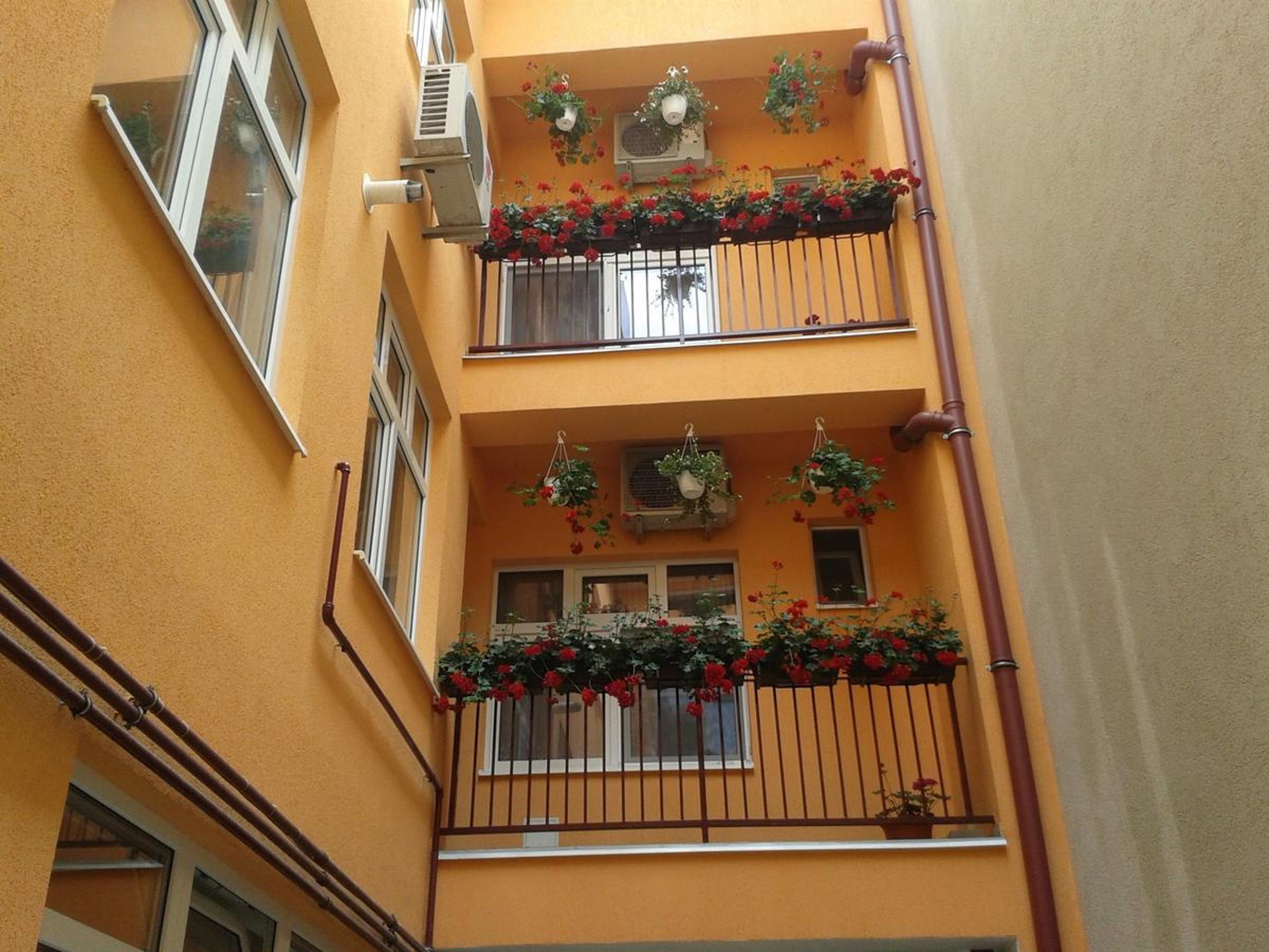 Photo 33
