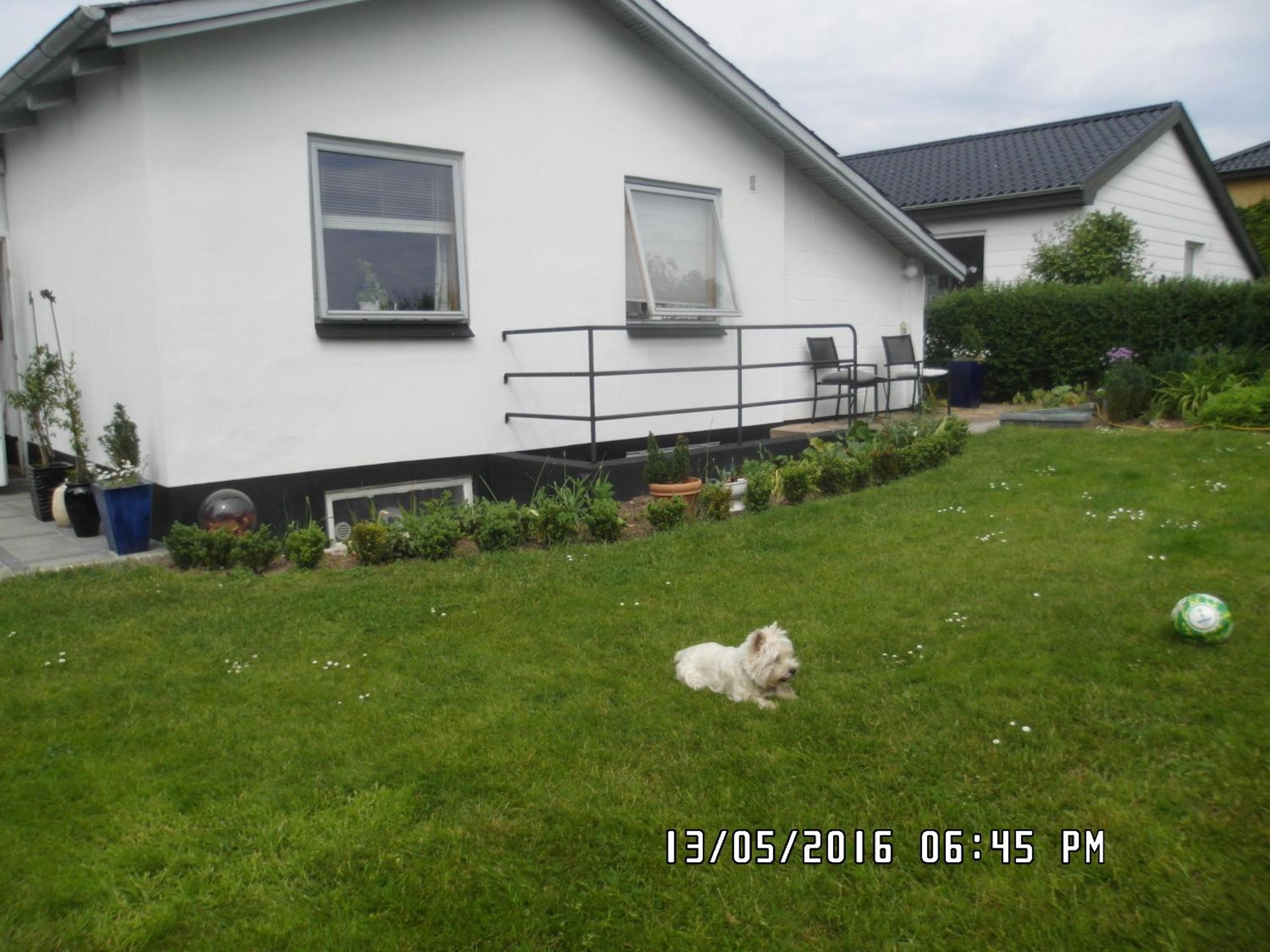 Photo 7