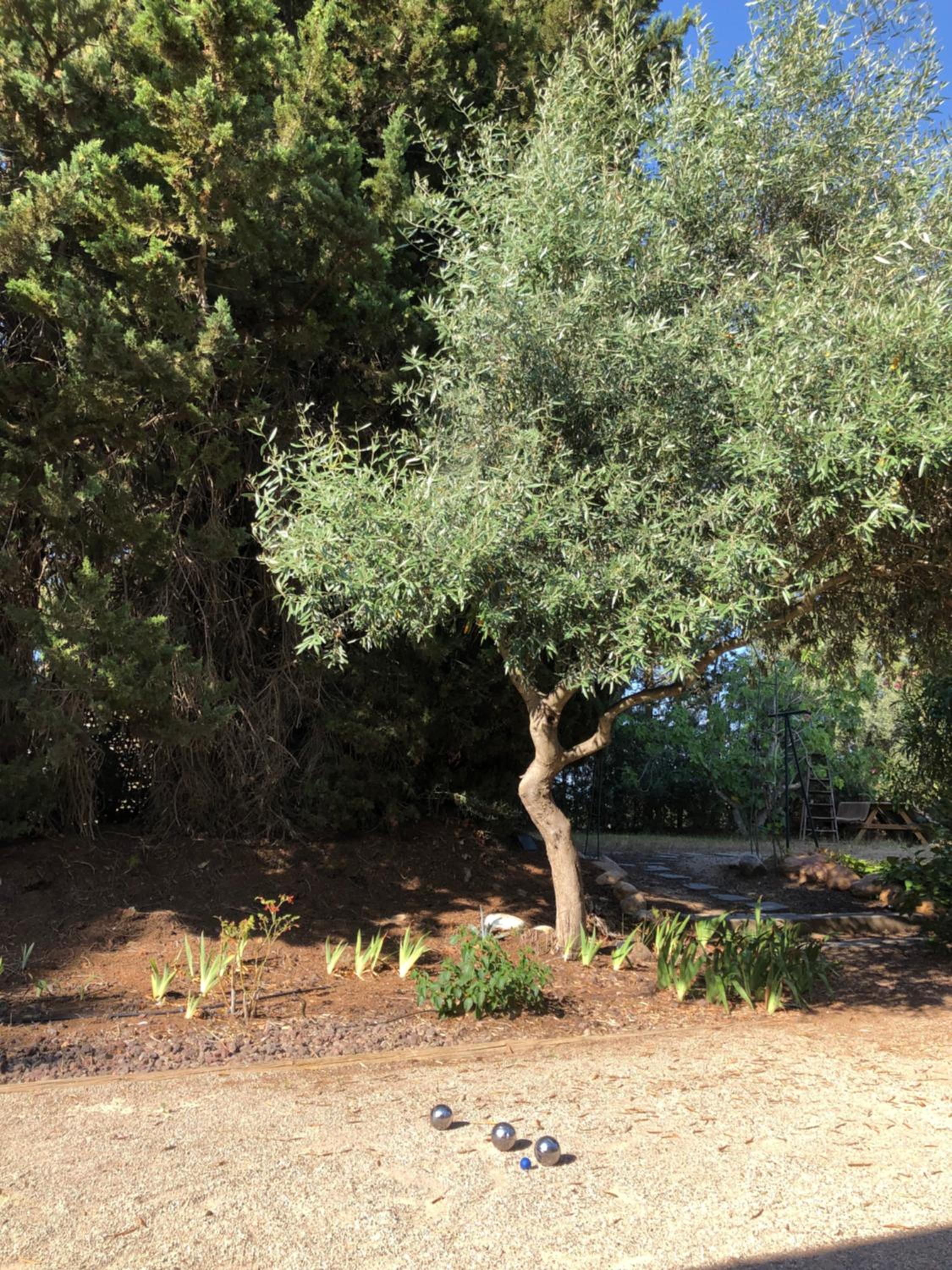 Photo 49