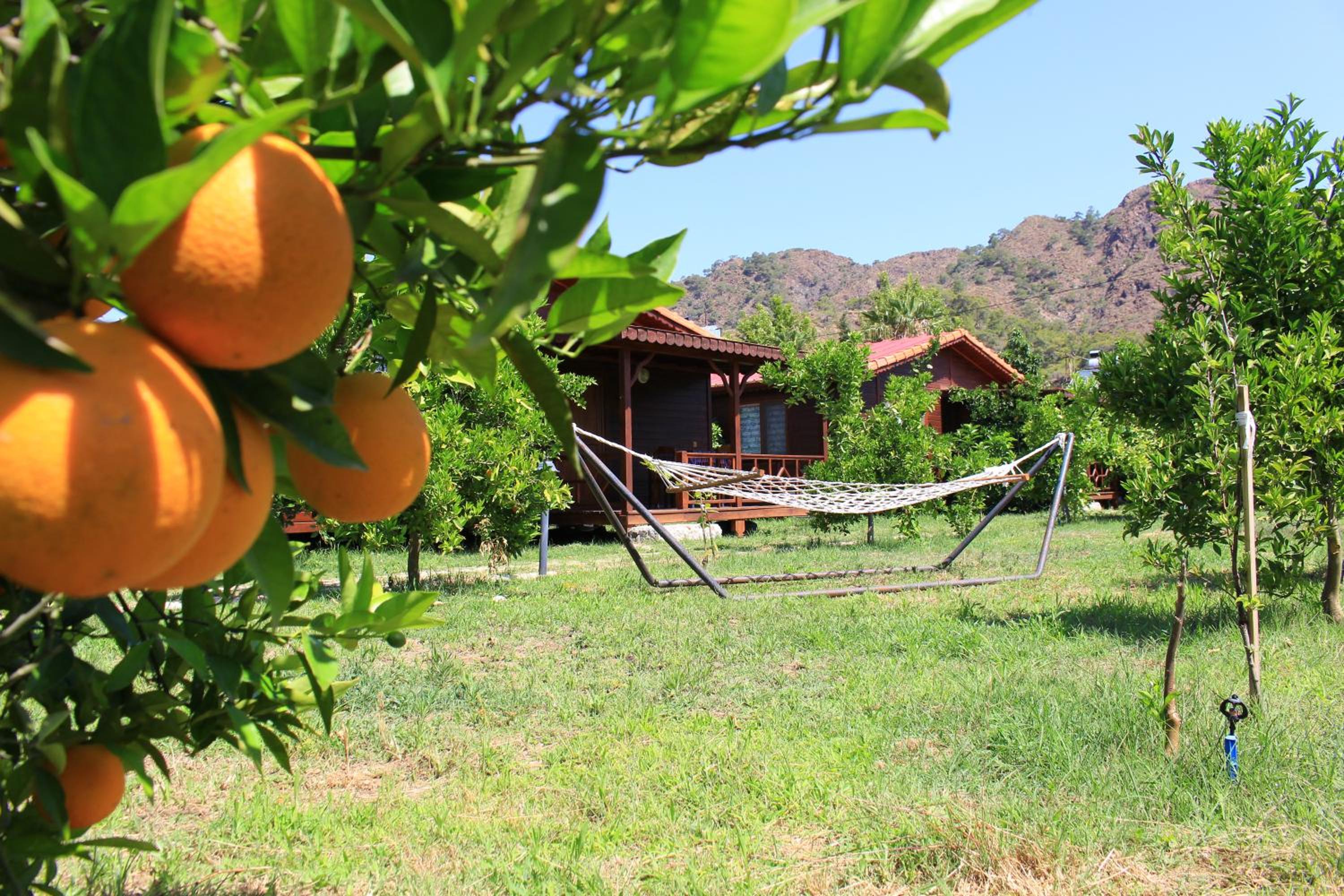 Ikiz Villas