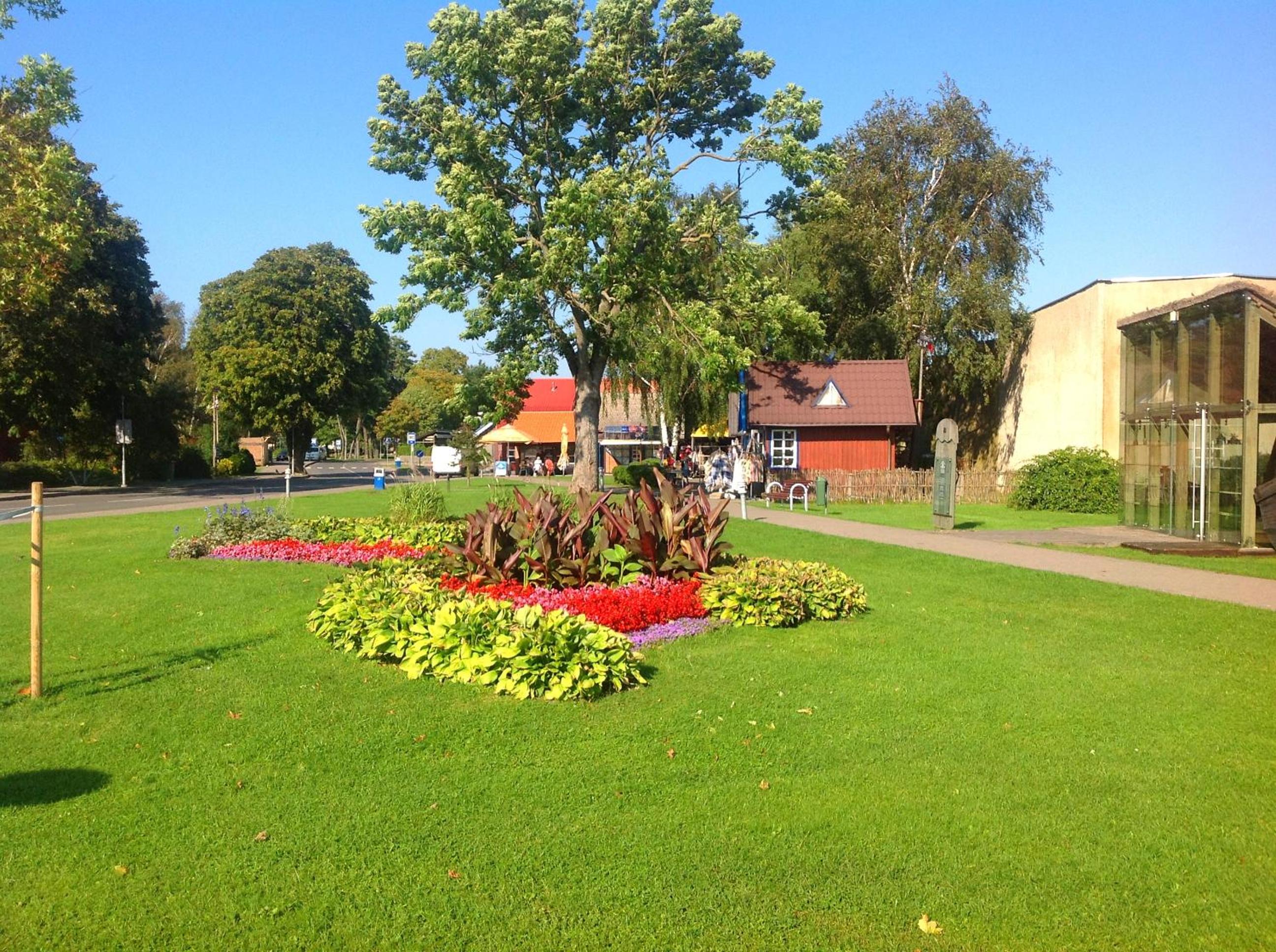 Photo 46