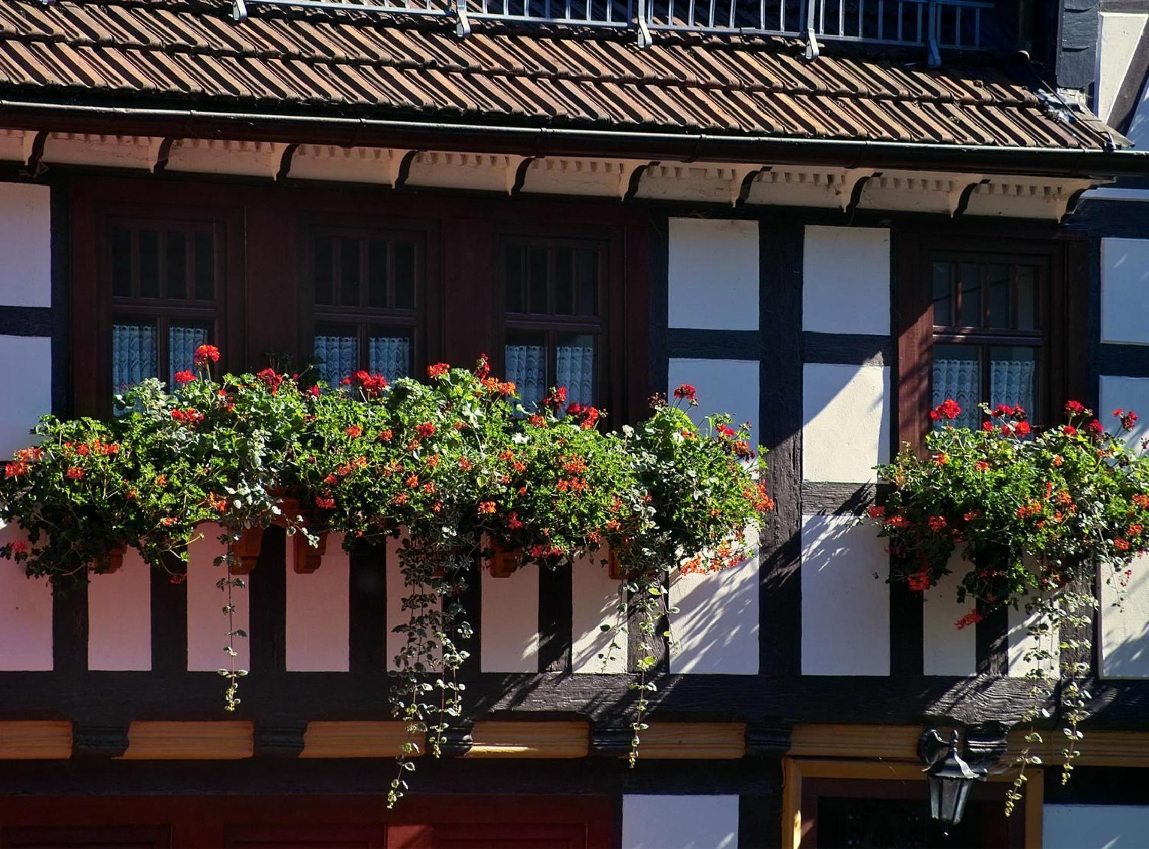 Pension Landhaus Machold