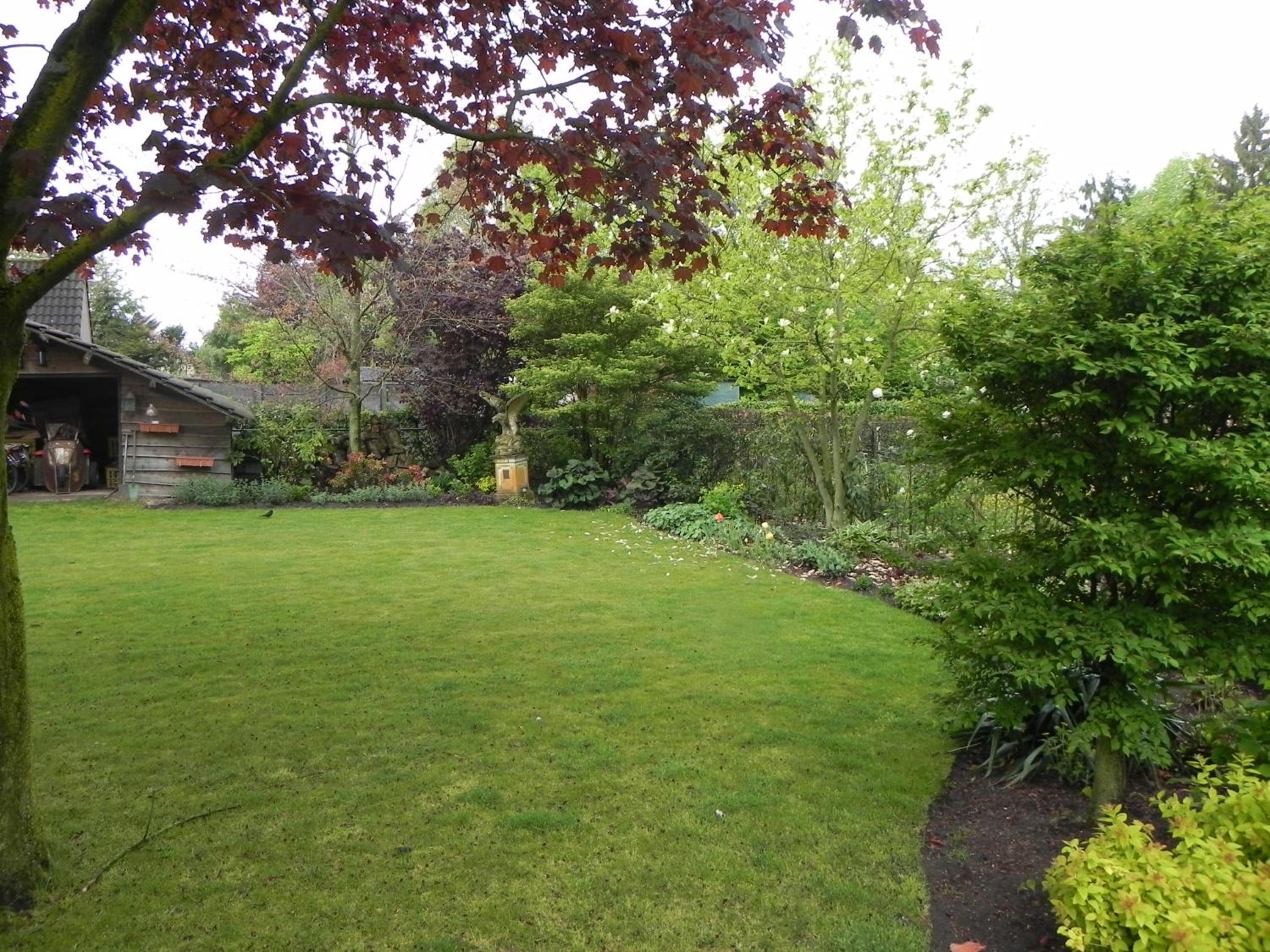 Photo 33