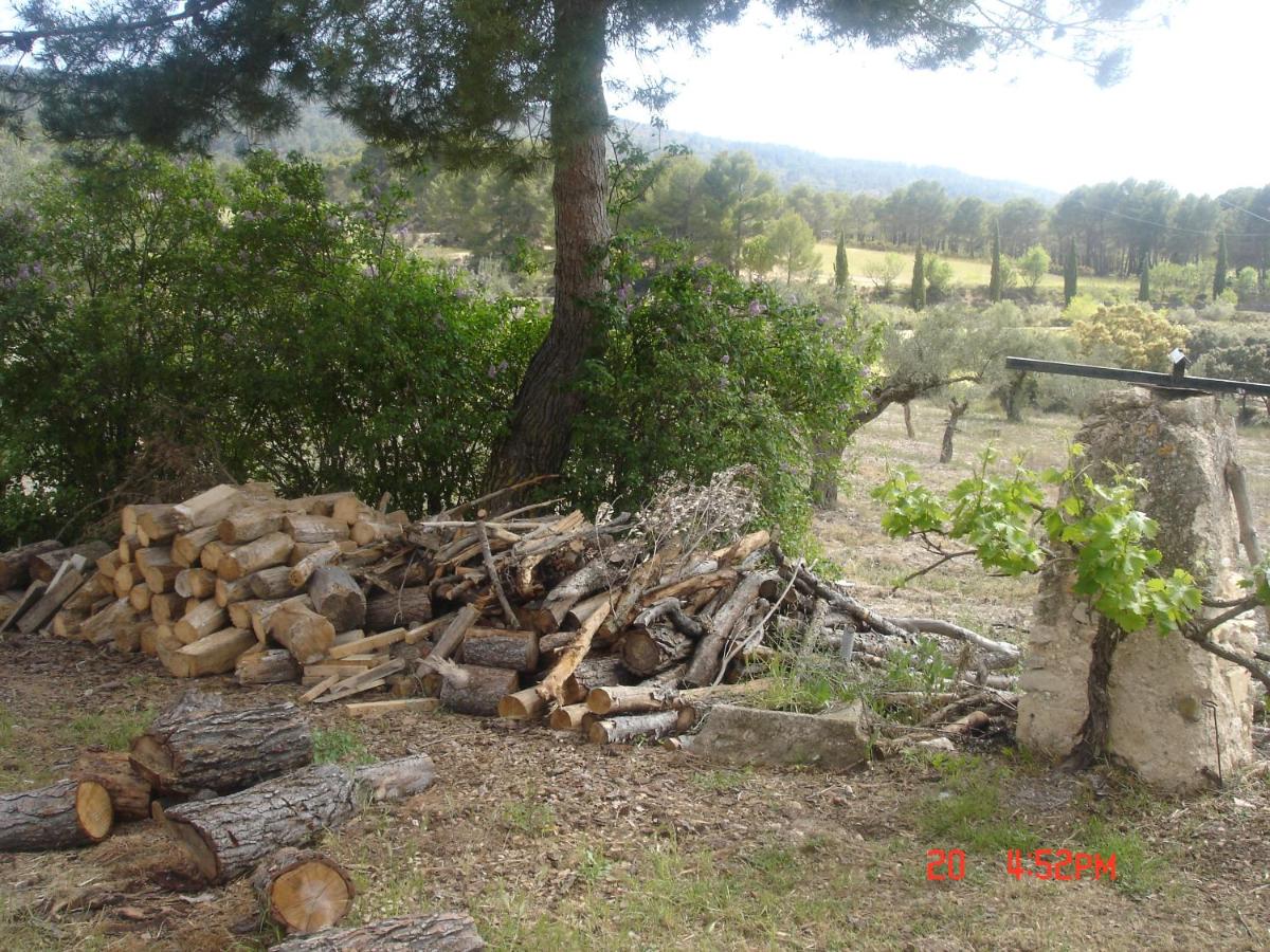 Photo 35