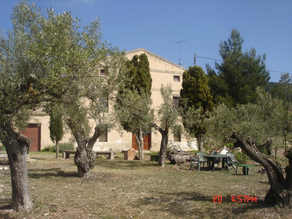 Photo 34