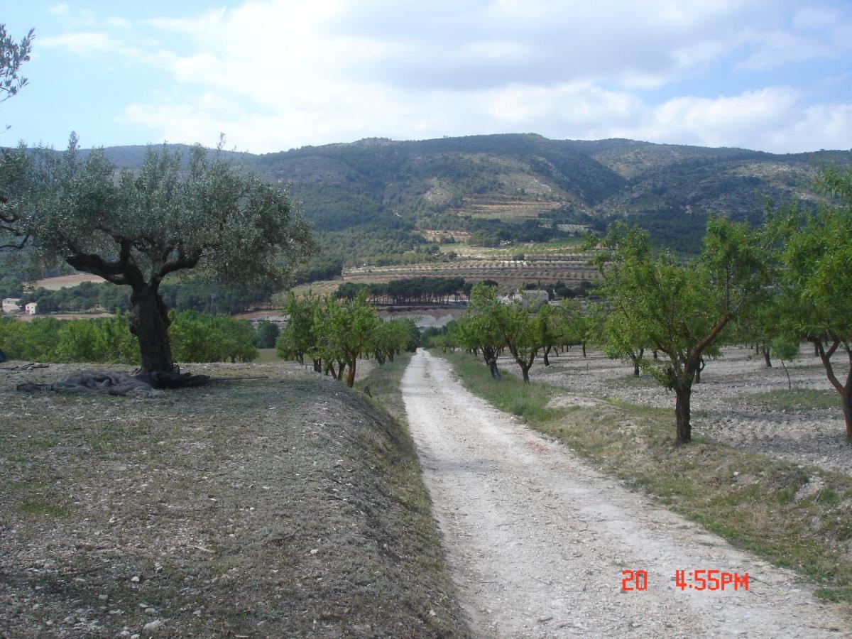 Photo 33