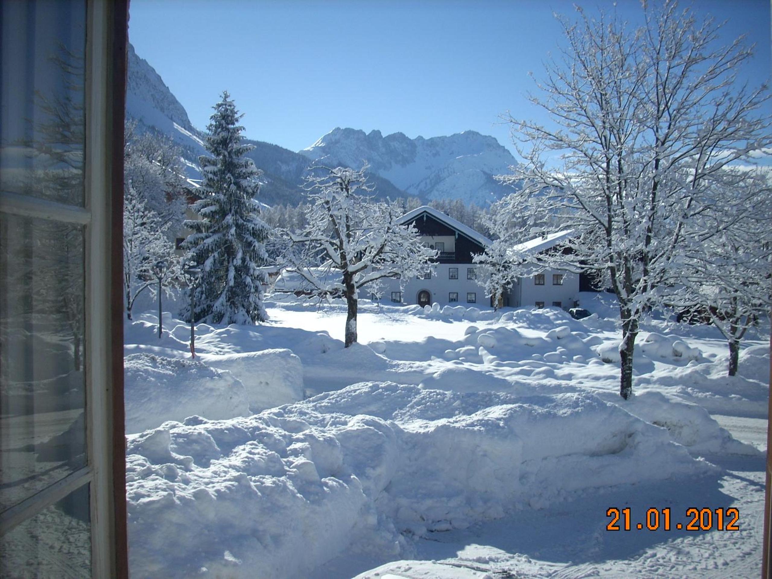 Photo 15