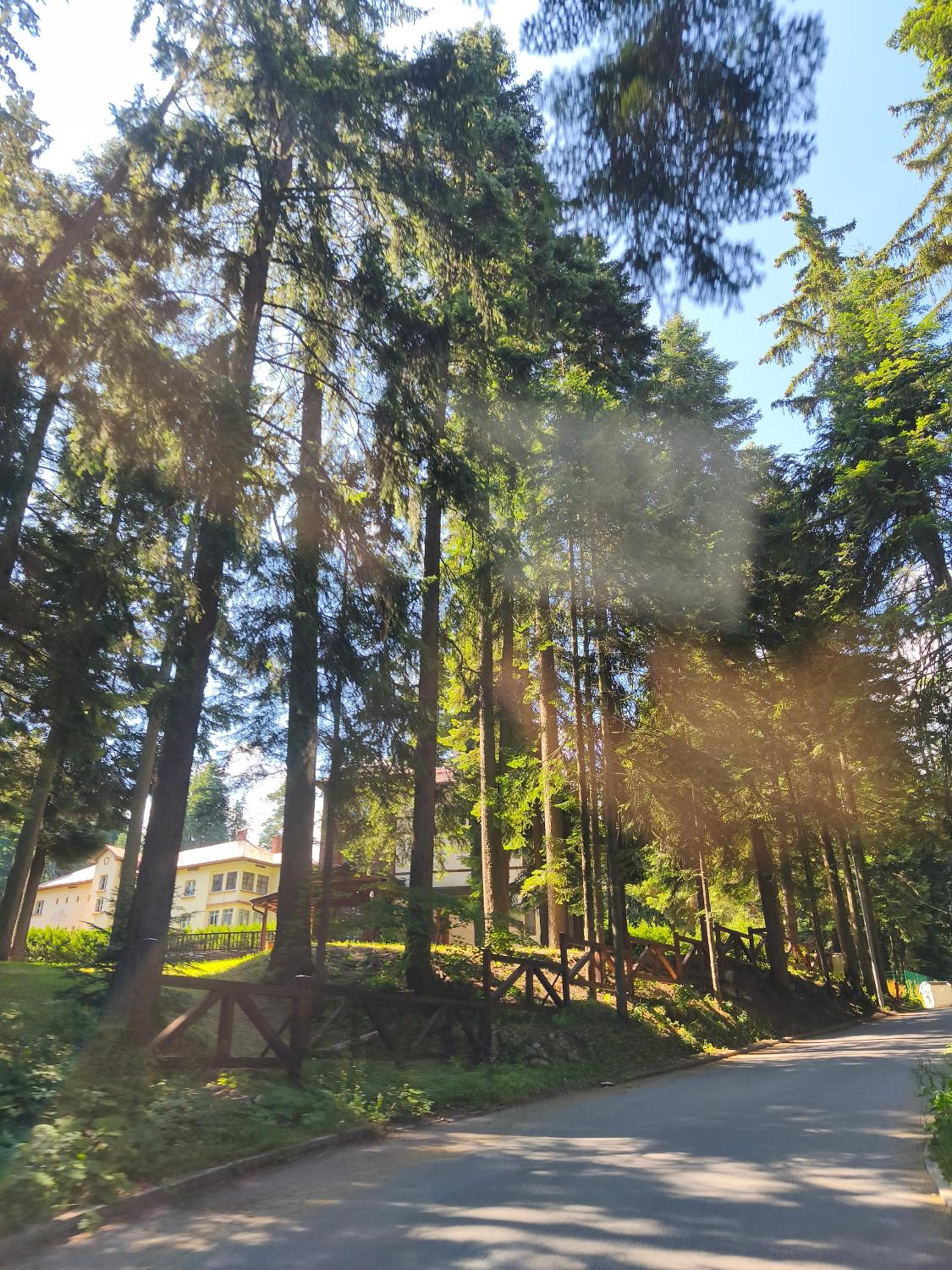 Borovets Gardens Forest STUDIO A3 - FREE PARKING,Free baby cot