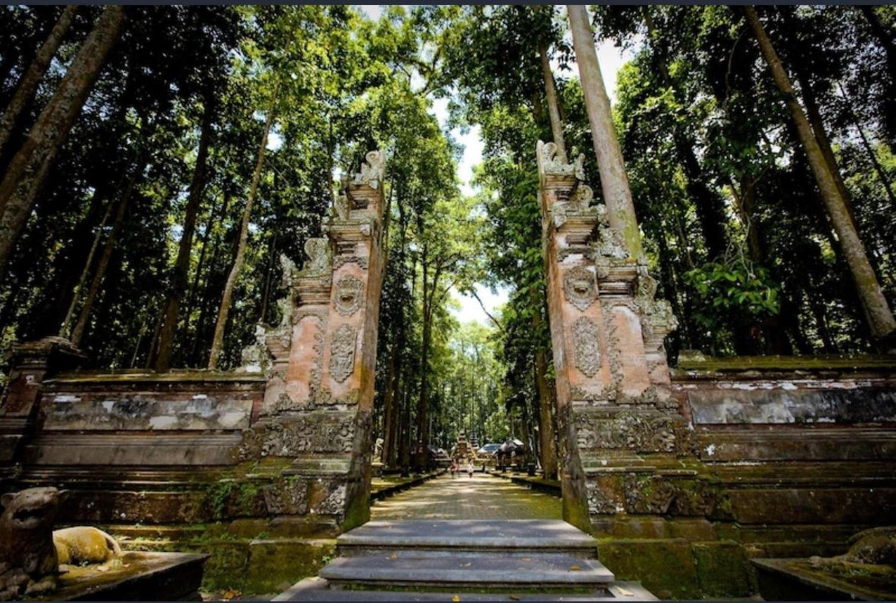 The Arya River Ubud View Villas by EPS