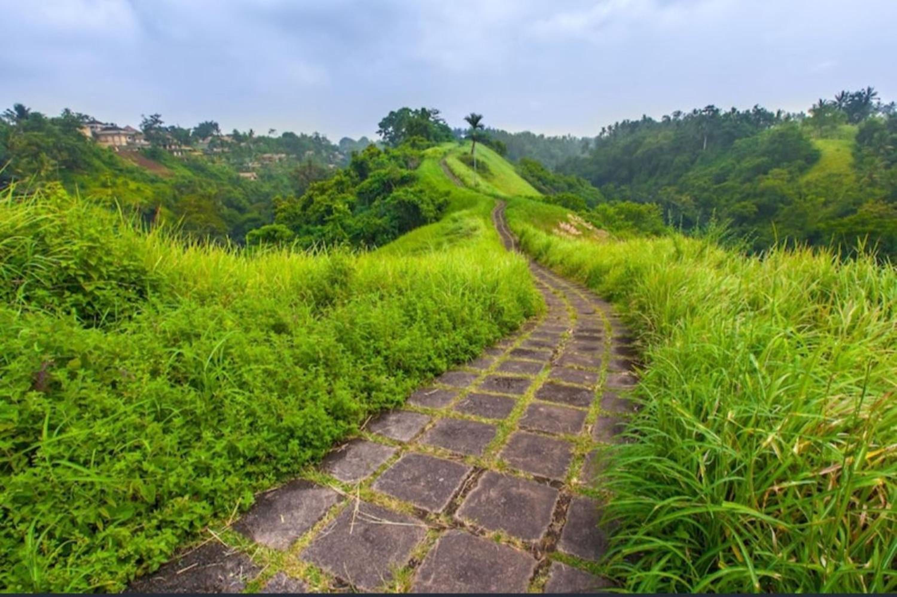 The Arya River Ubud View Villas by EPS