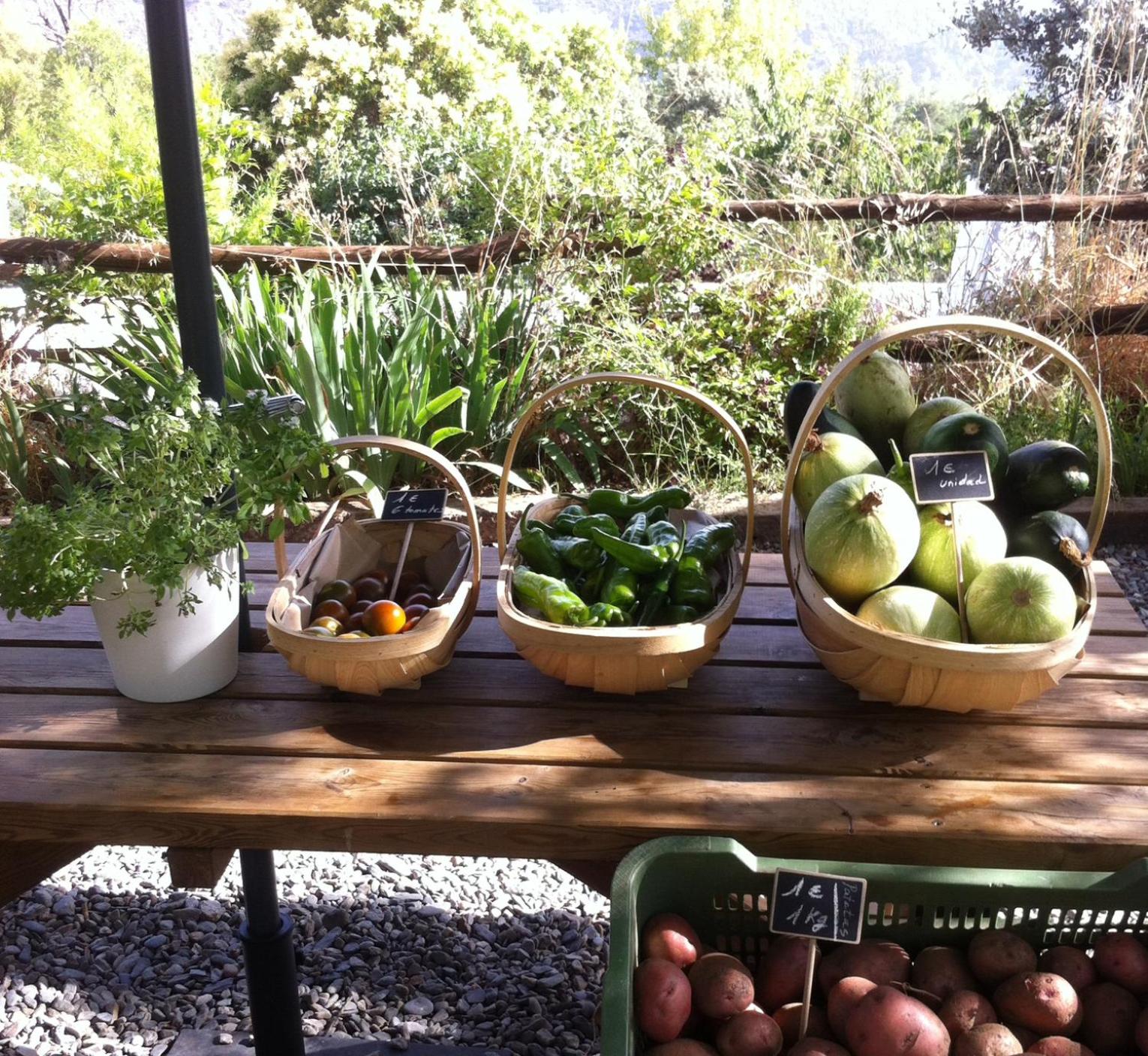 Photo 22