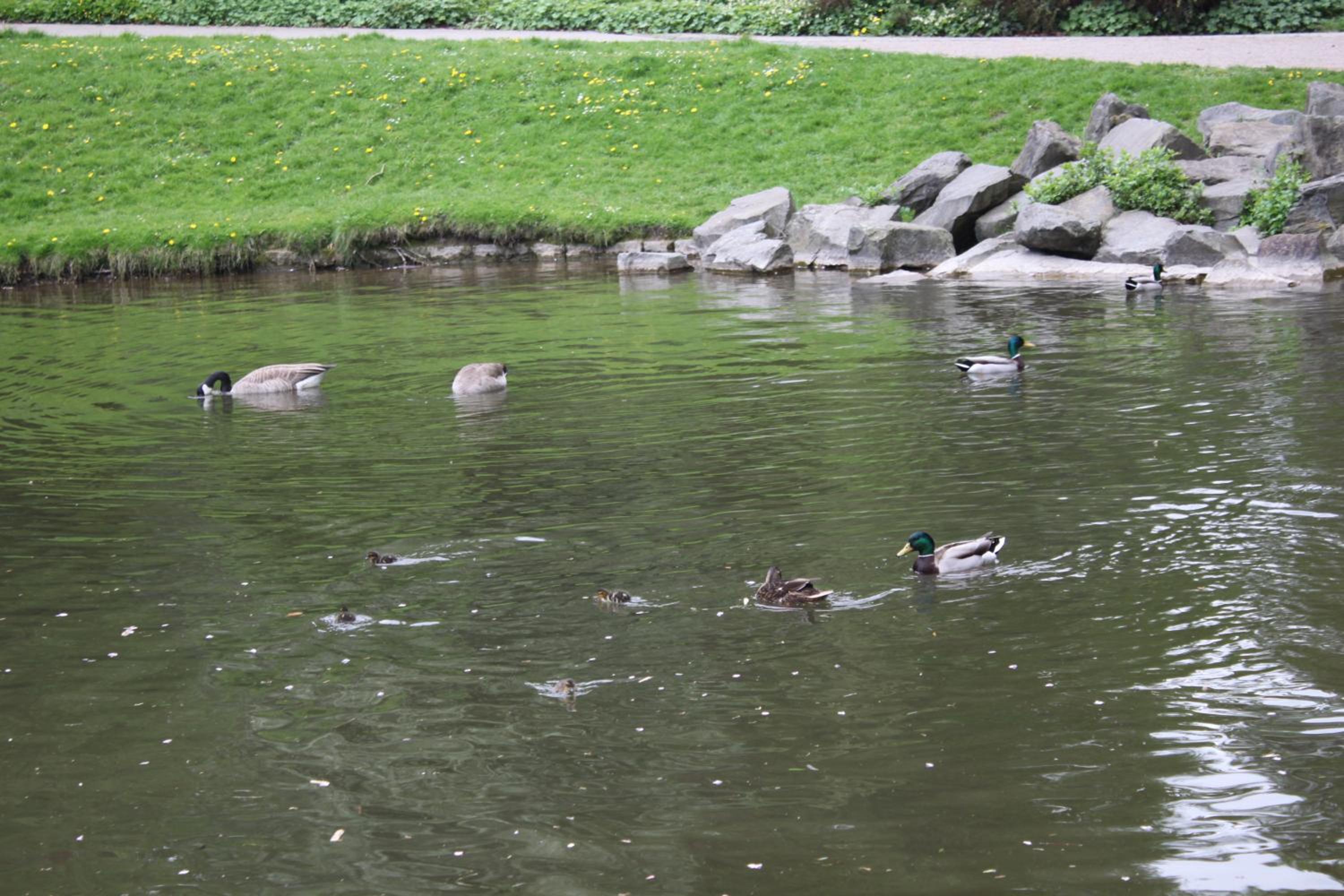 Photo 15