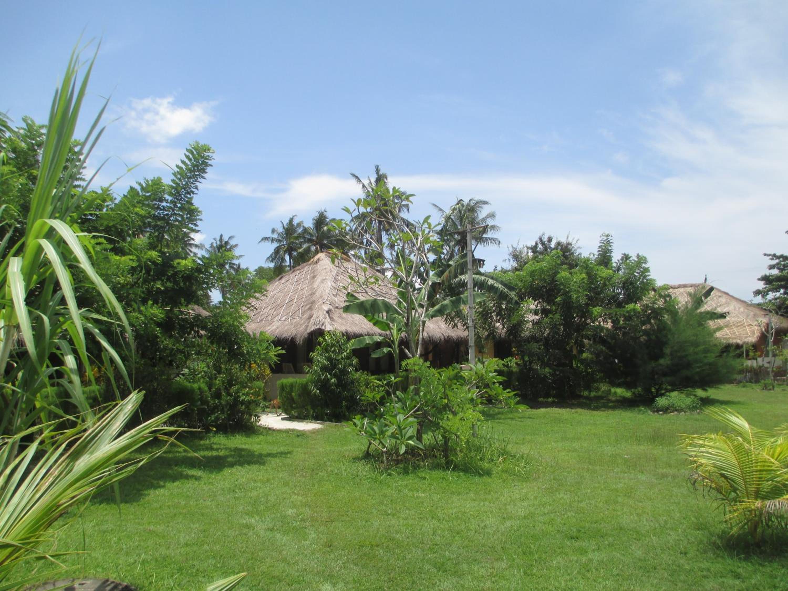 Photo 20
